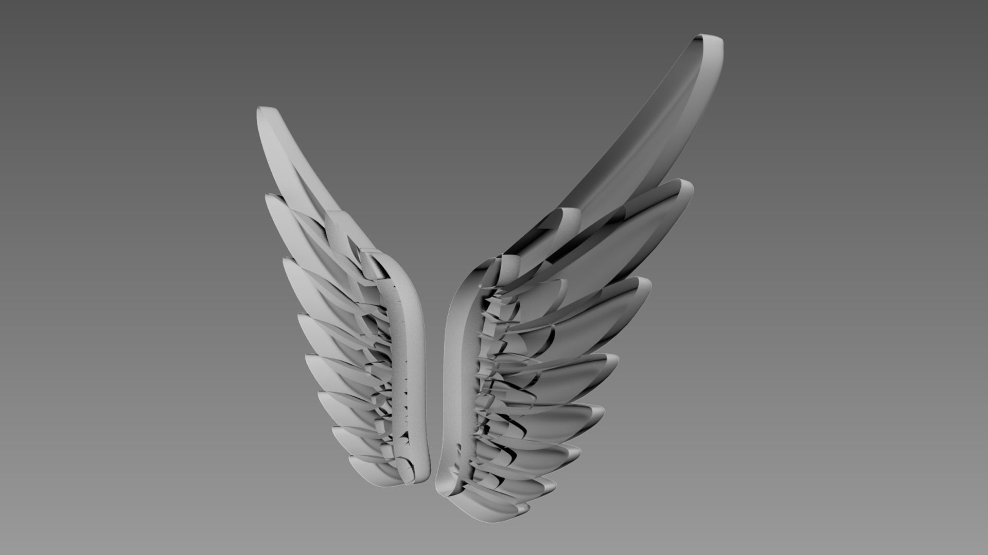 Wings relief 3D model_5