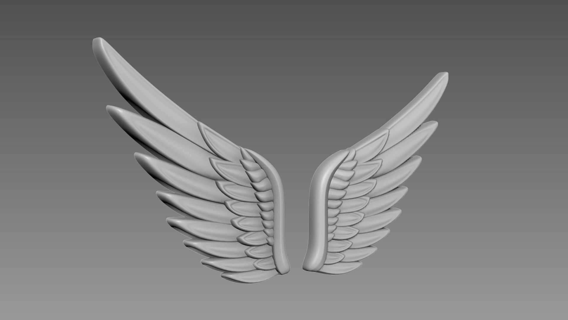 Wings relief 3D model_1