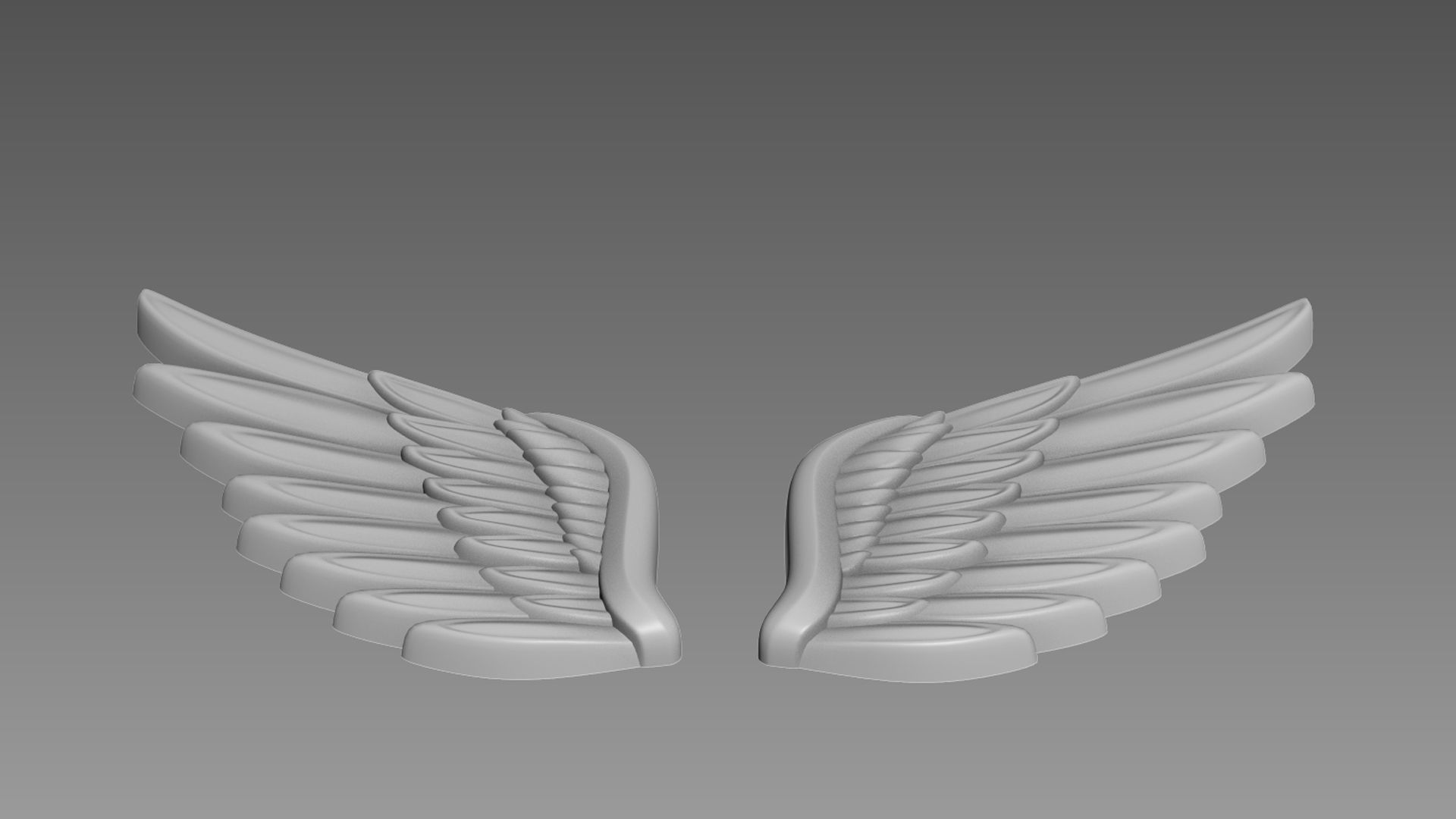 Wings relief 3D model_6