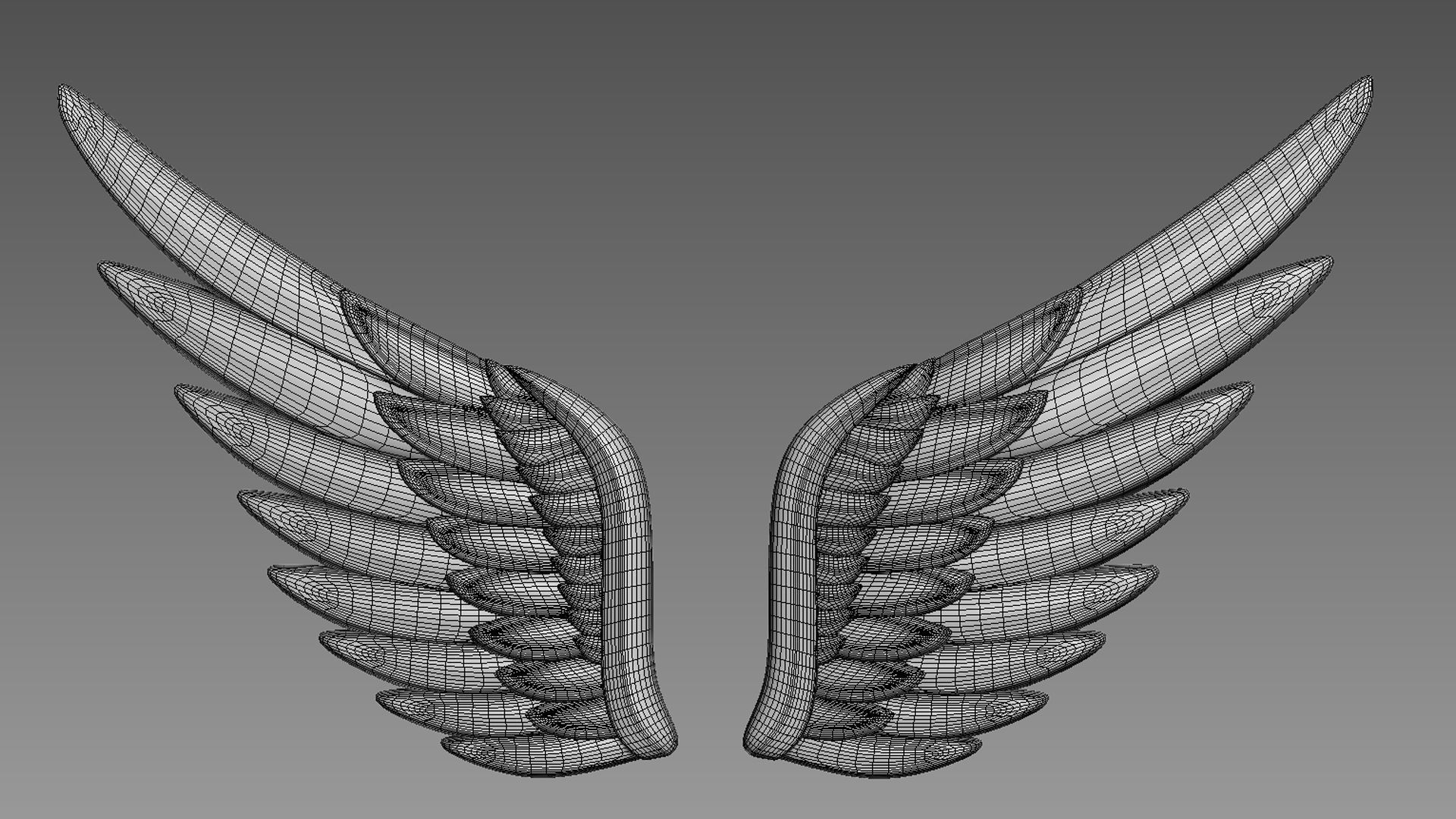 Wings relief 3D model_8