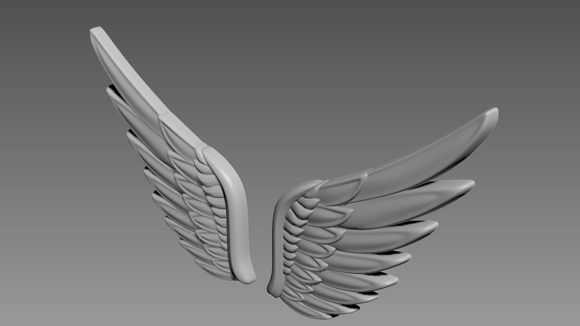 Wings relief 3D model_7