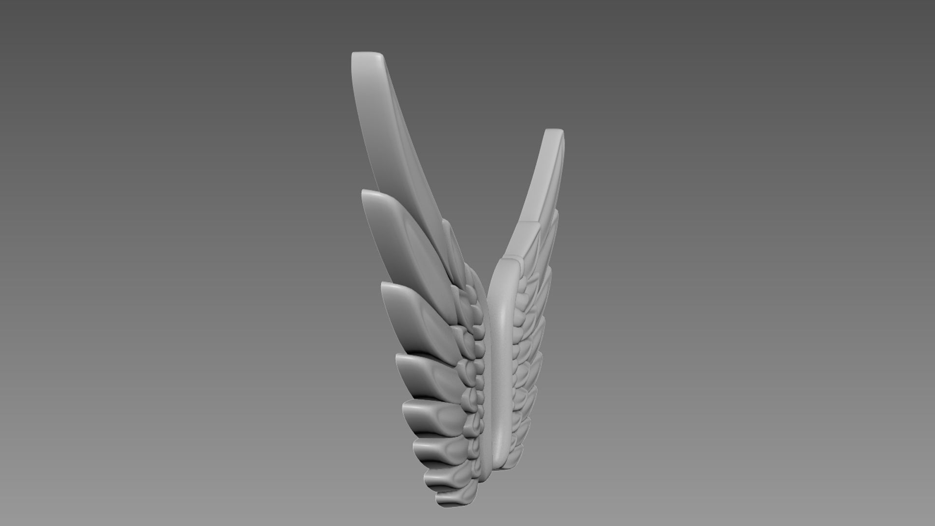 Wings relief 3D model_3