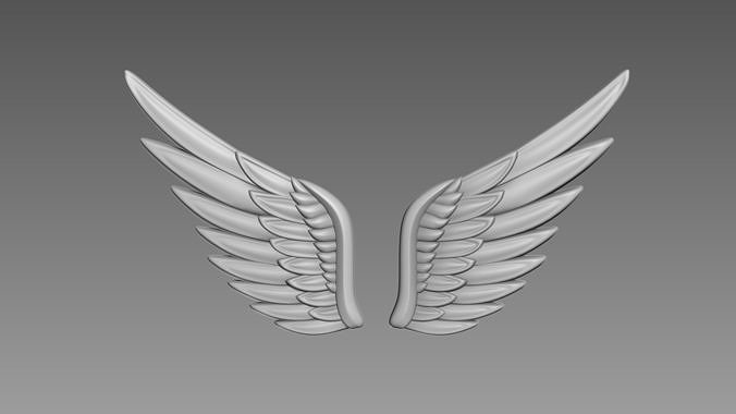 Wings relief 3D model