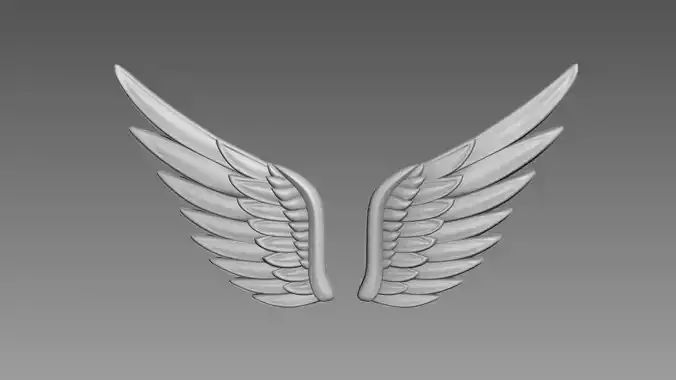 Wings relief 3D model
