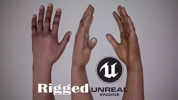 FPS Arms 02 Low-poly 3D model