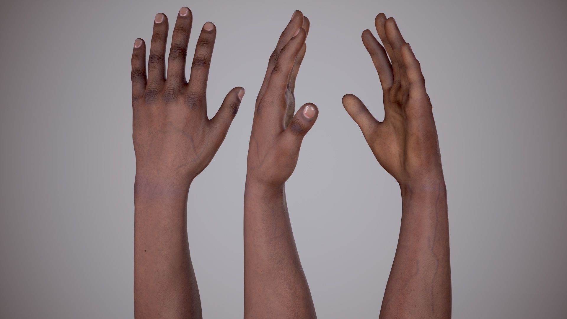 FPS Arms 02 Low-poly 3D model_11