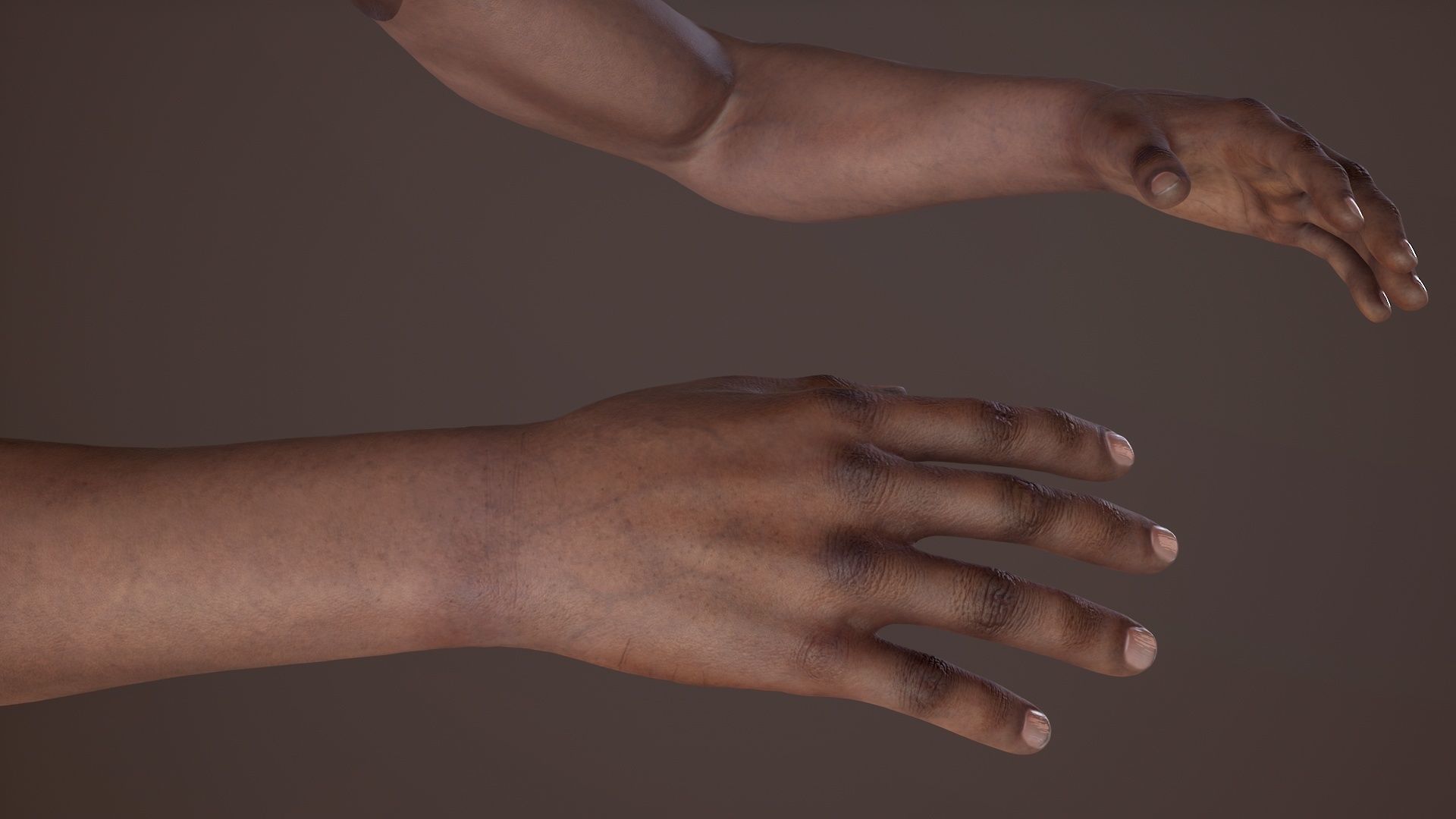 FPS Arms 02 Low-poly 3D model_8