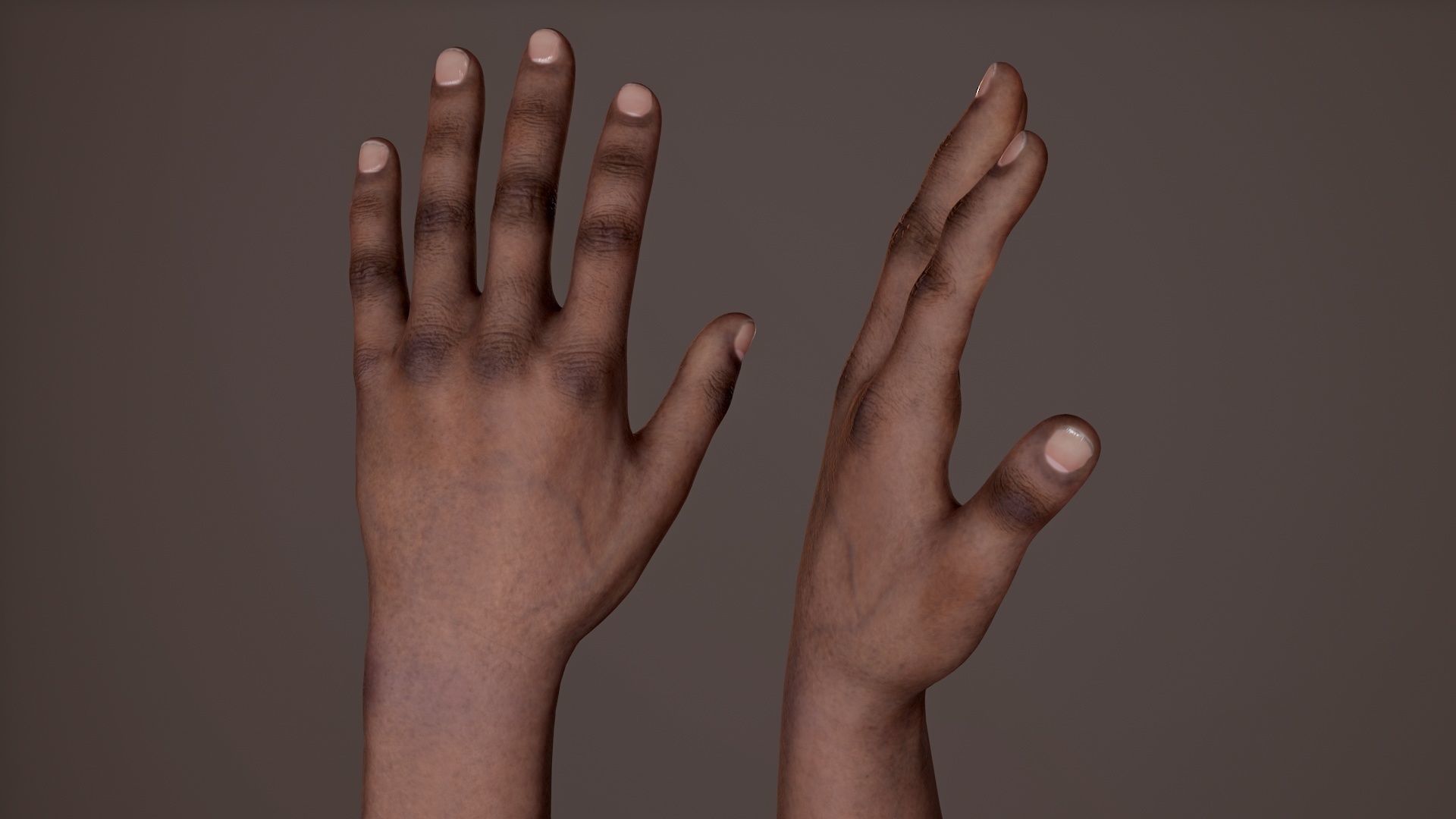 FPS Arms 02 Low-poly 3D model_12