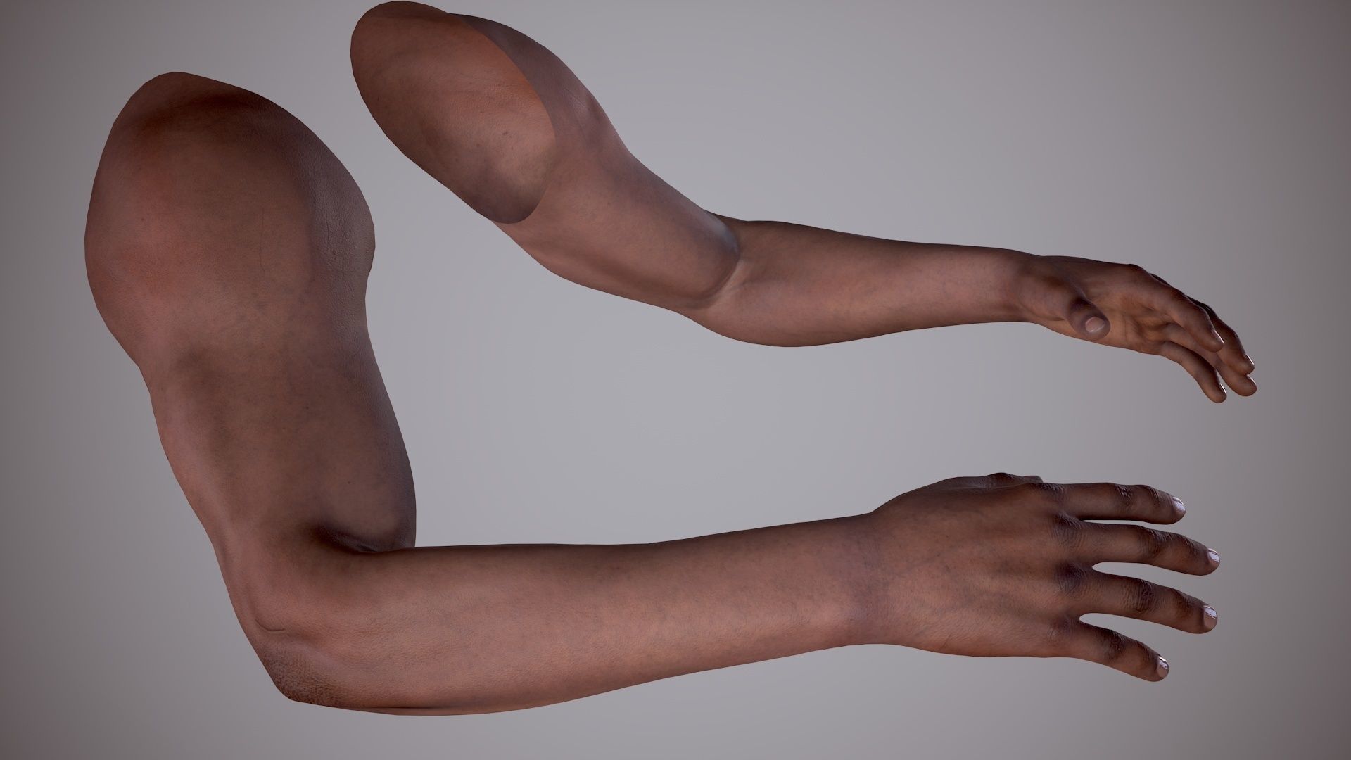 FPS Arms 02 Low-poly 3D model_7