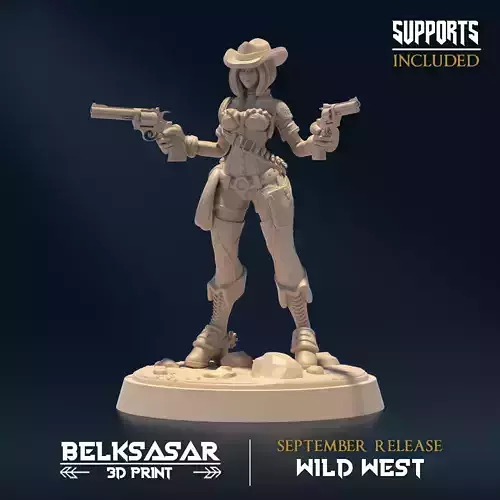 Gunslinger B 3D print model