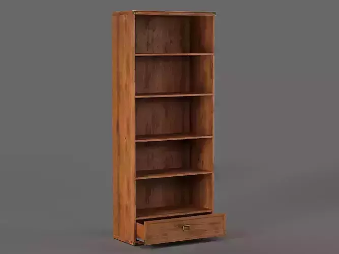 Indiana Bookcase 03 3D model