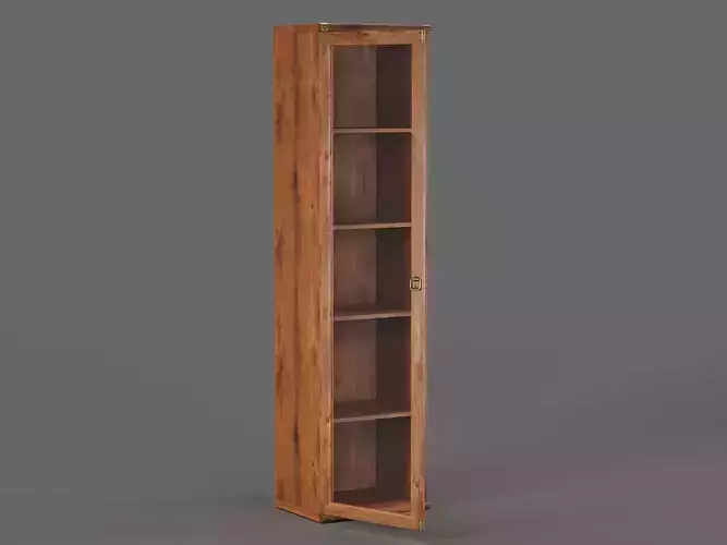 Indiana Bookcase 05 3D model