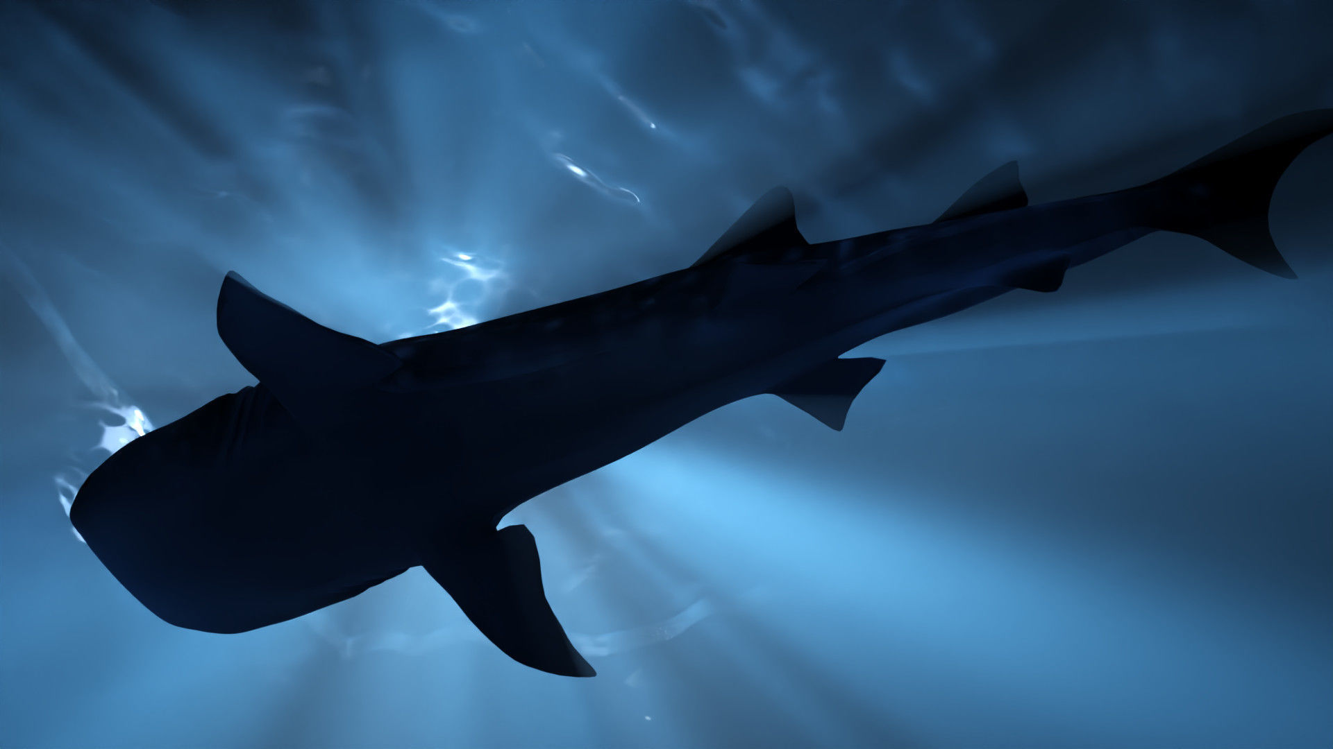 Underwater Maker Low-poly 3D model_12