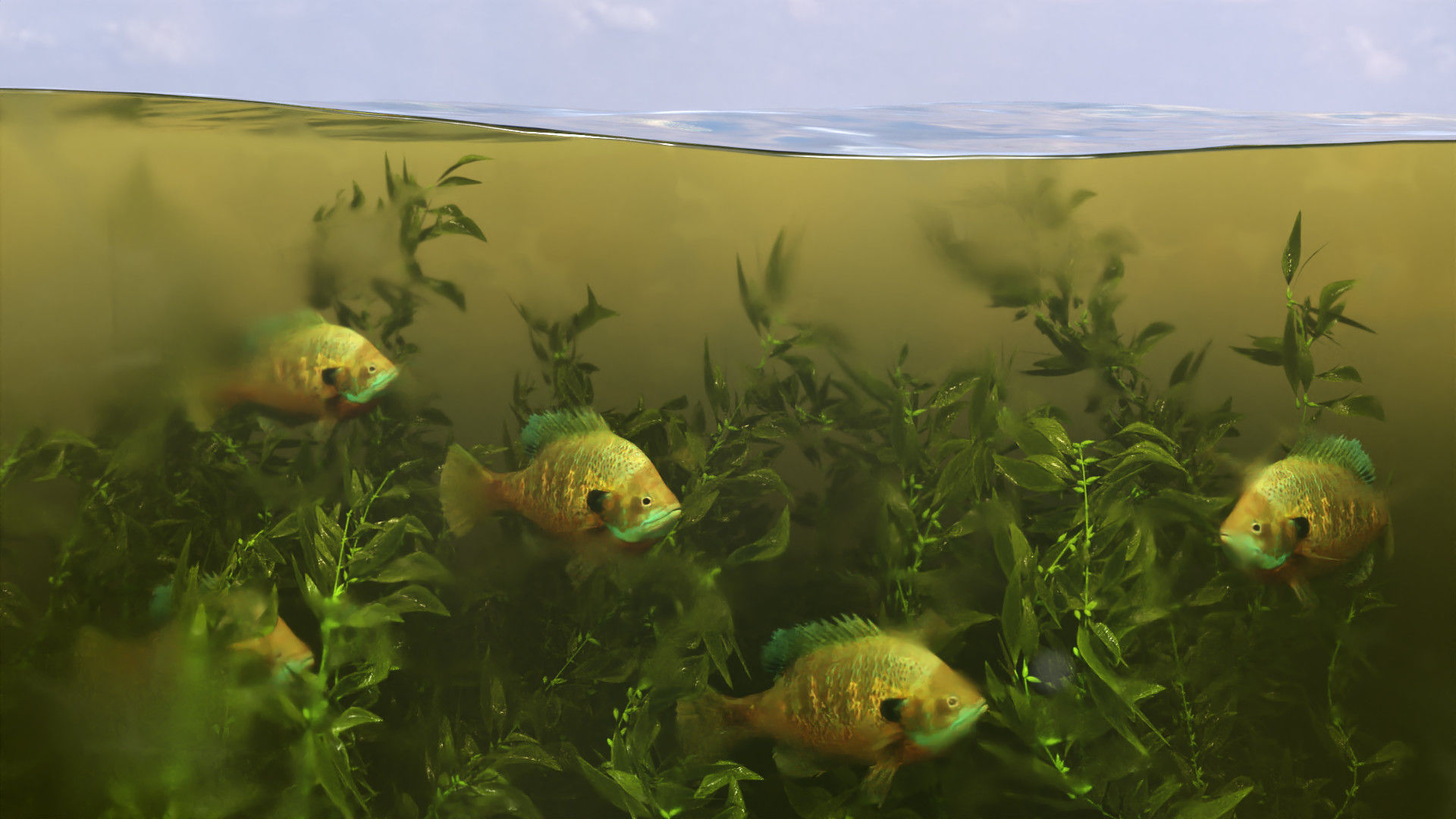 Underwater Maker Low-poly 3D model_8