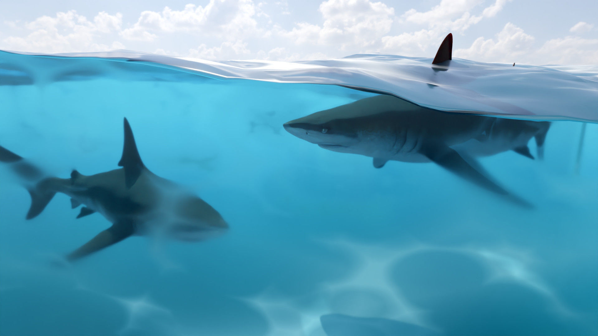 Underwater Maker Low-poly 3D model_5