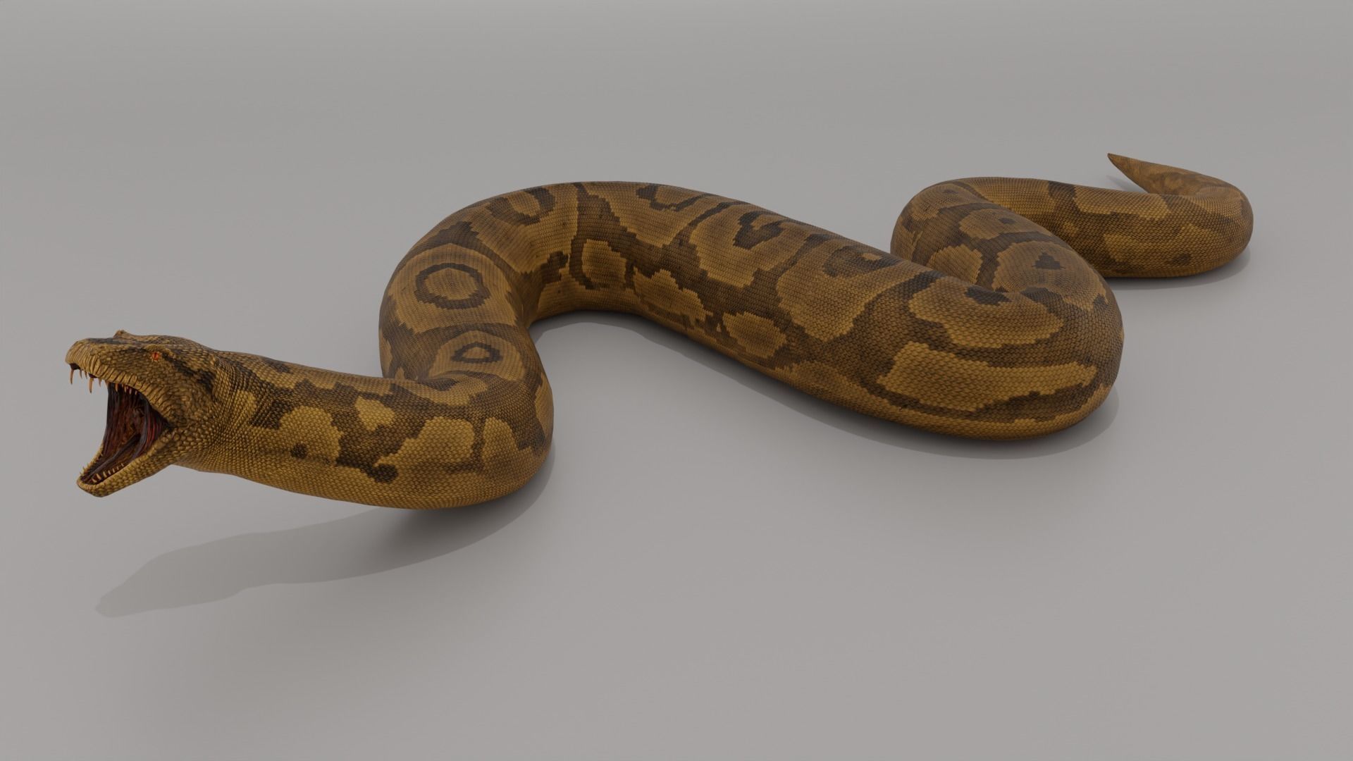 Titanoboa  Low-poly 3D model_2
