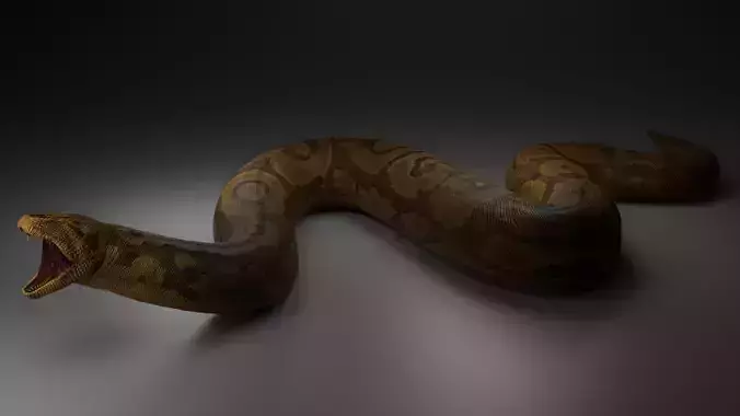 Titanoboa  Low-poly 3D model