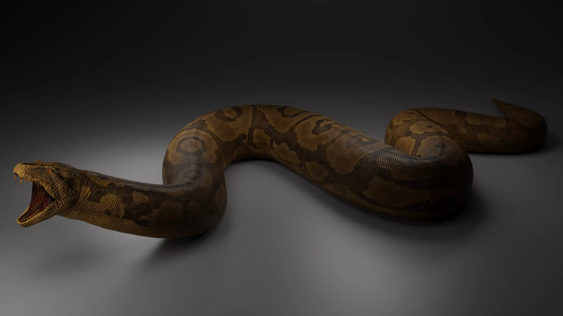 Titanoboa  Low-poly 3D model_0