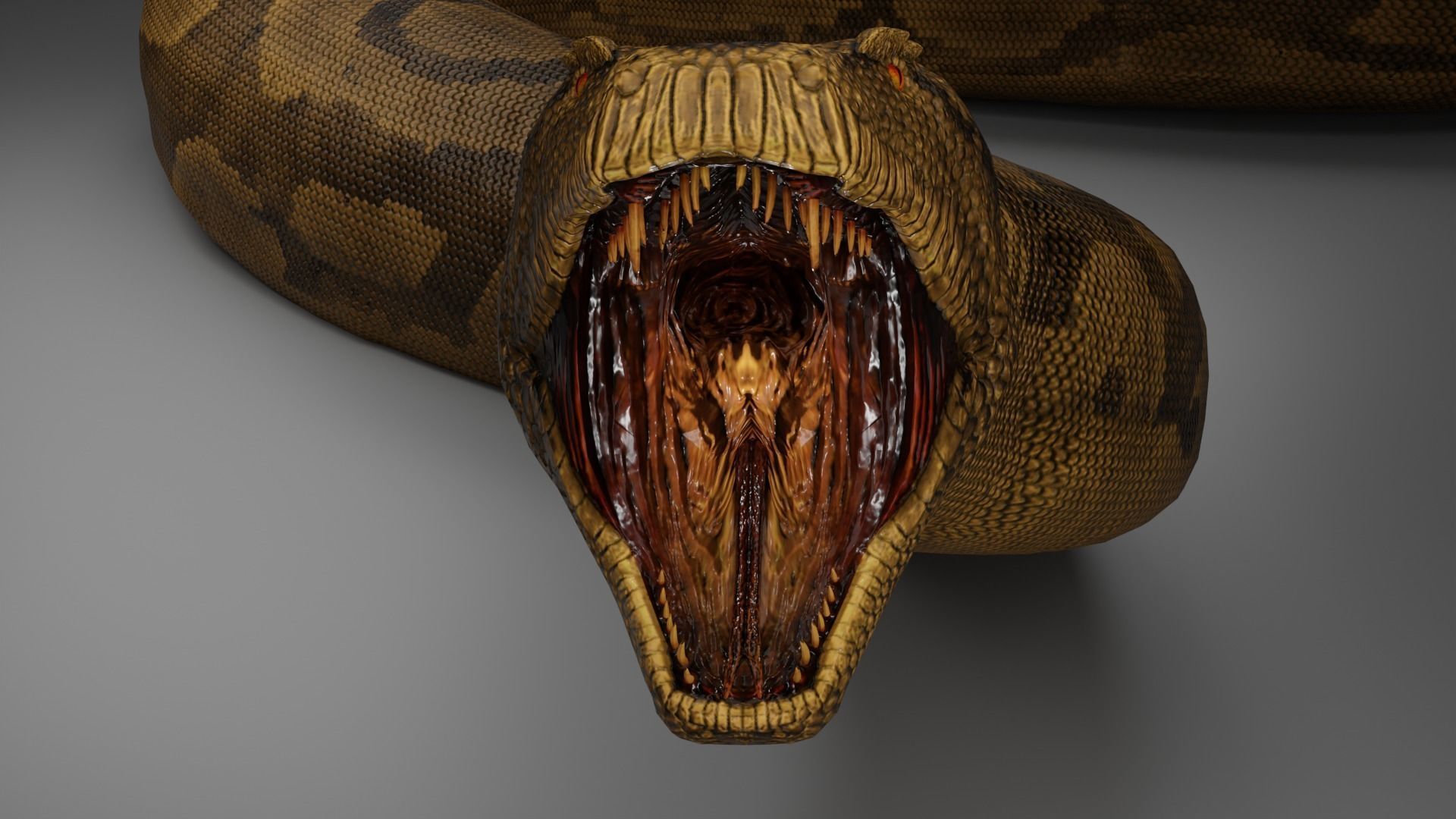 Titanoboa  Low-poly 3D model_6