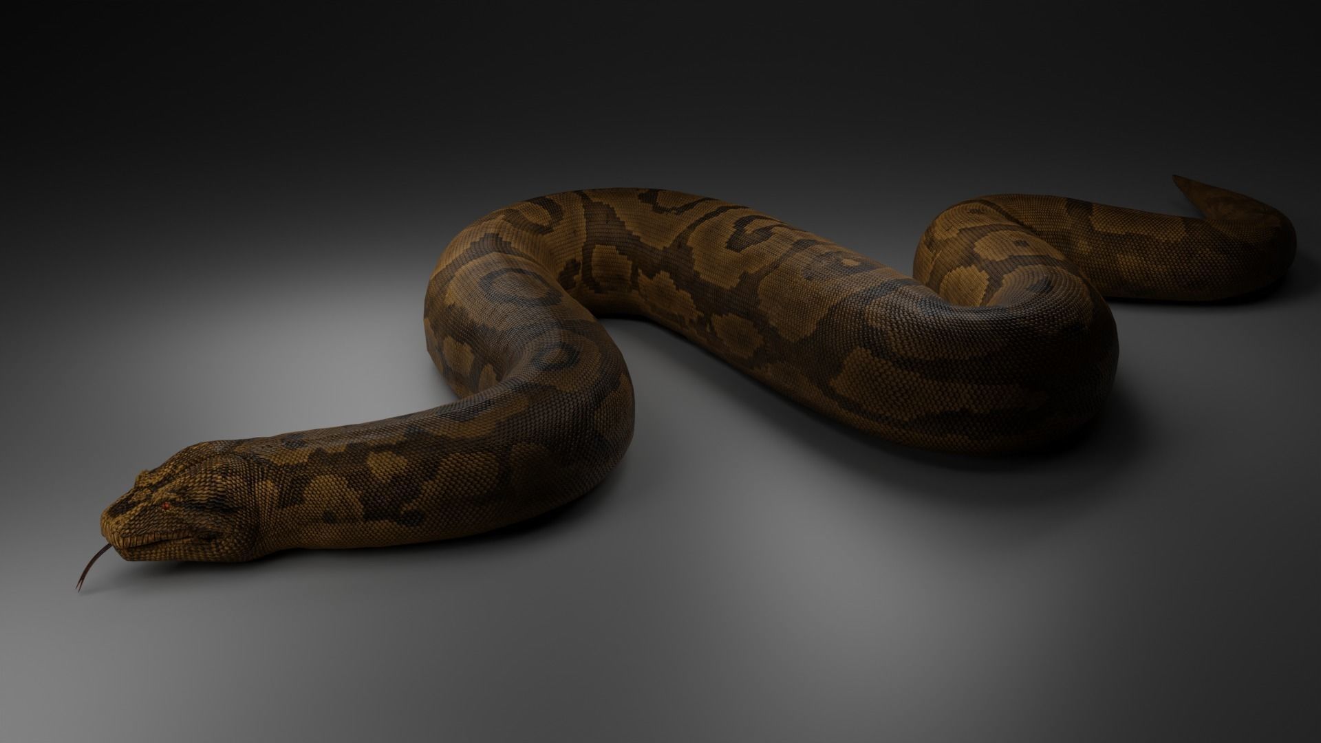 Titanoboa  Low-poly 3D model_4