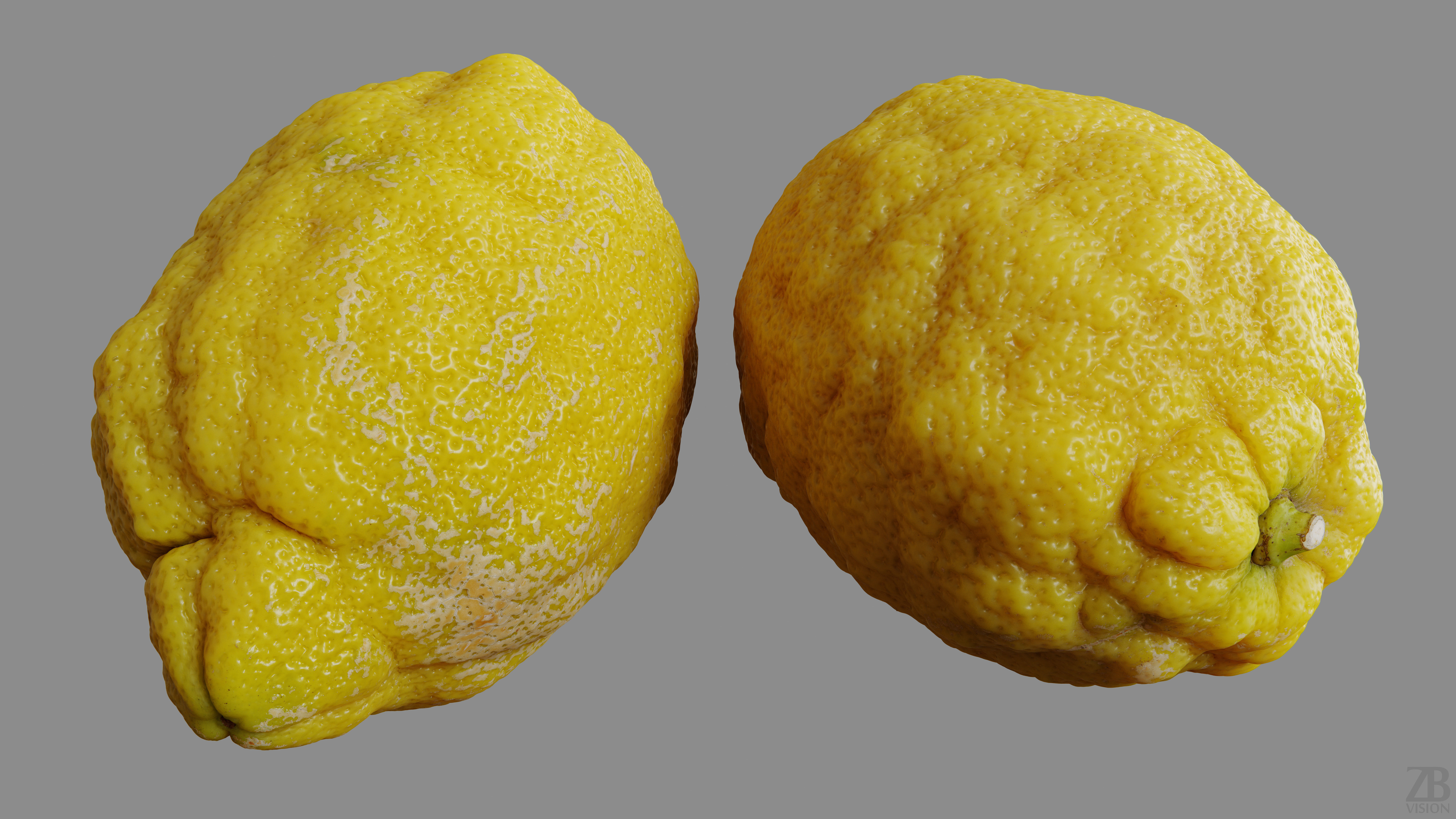 Lemon 3D model_8