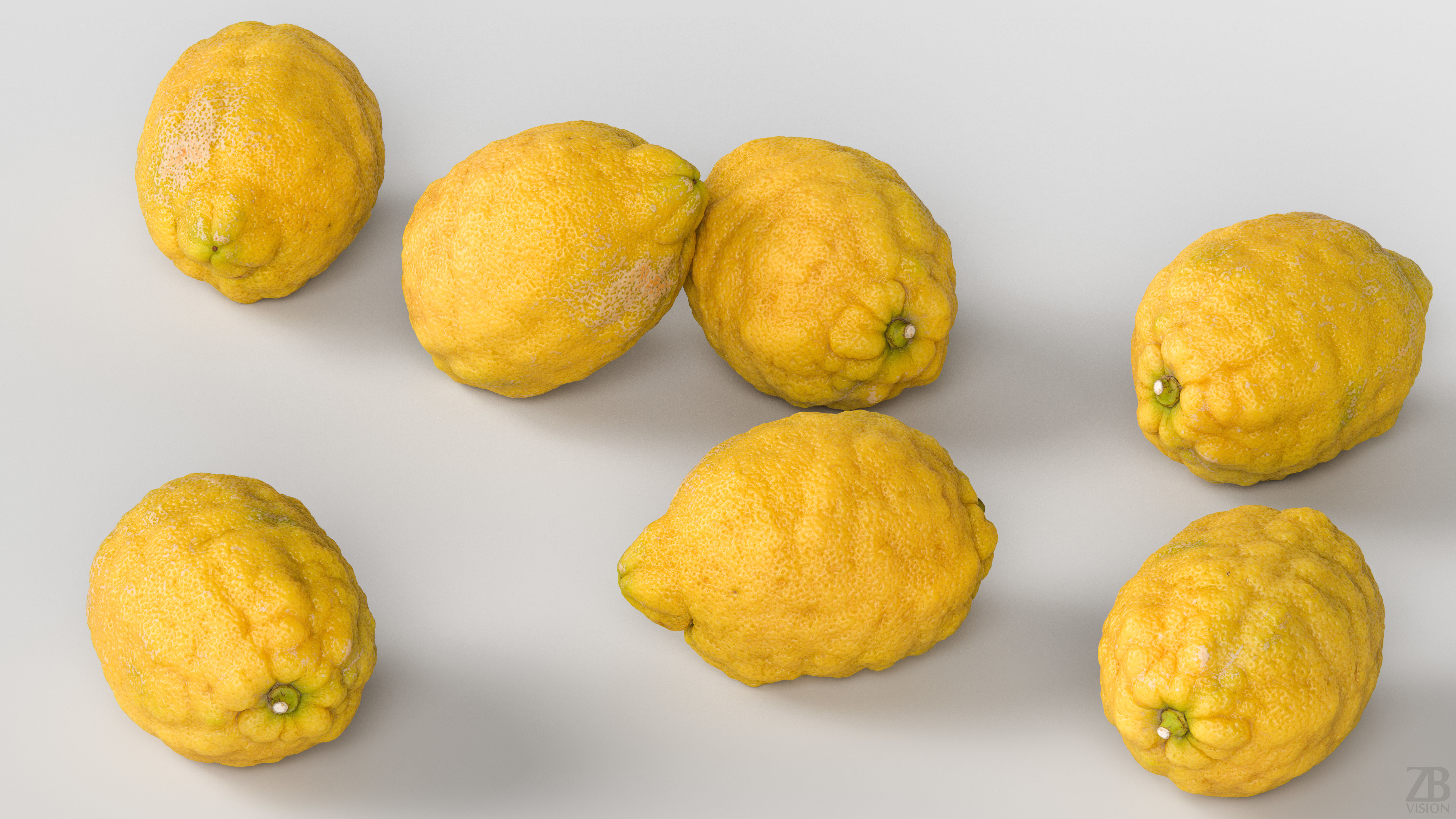 Lemon 3D model_2