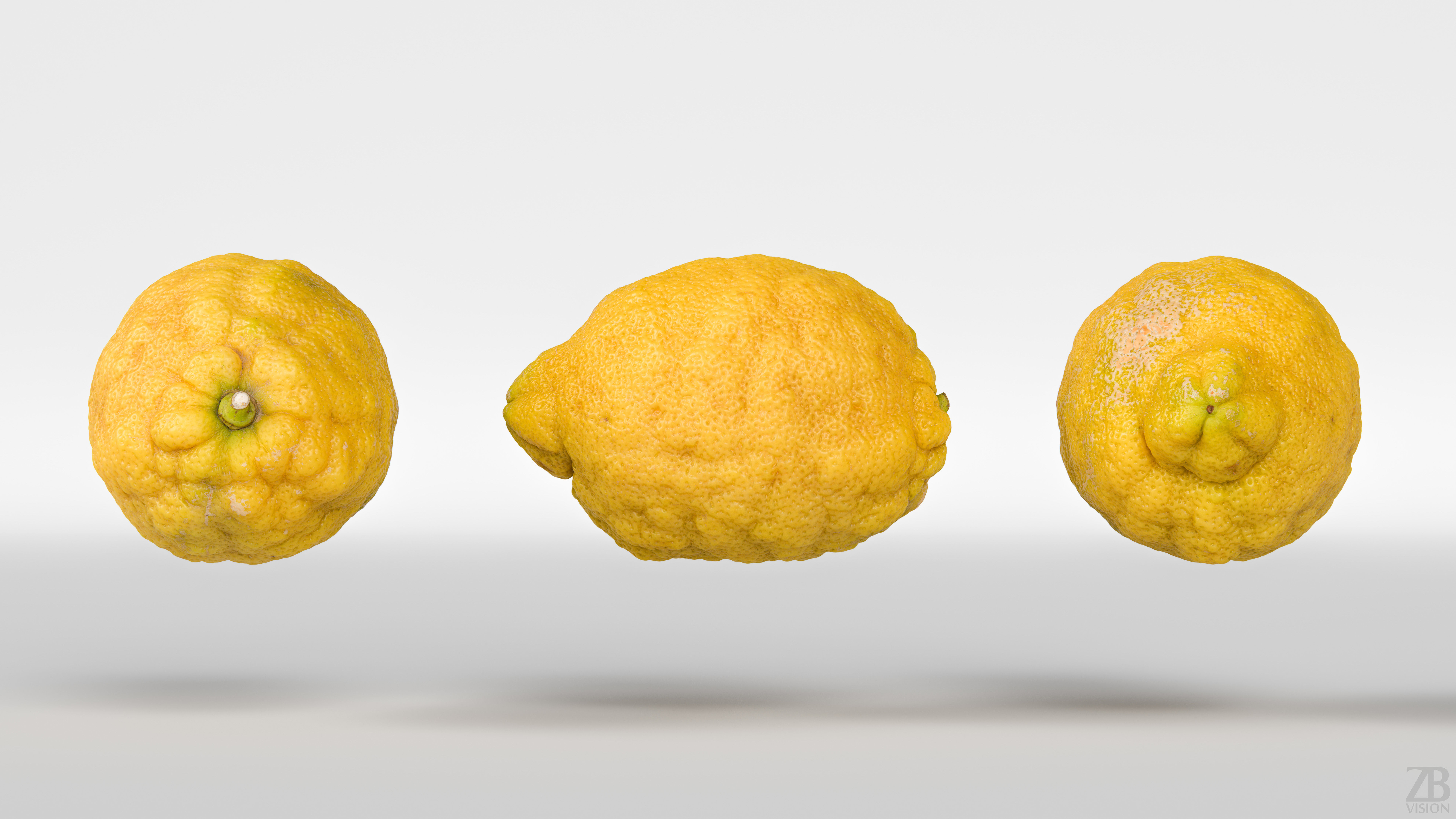 Lemon 3D model_4