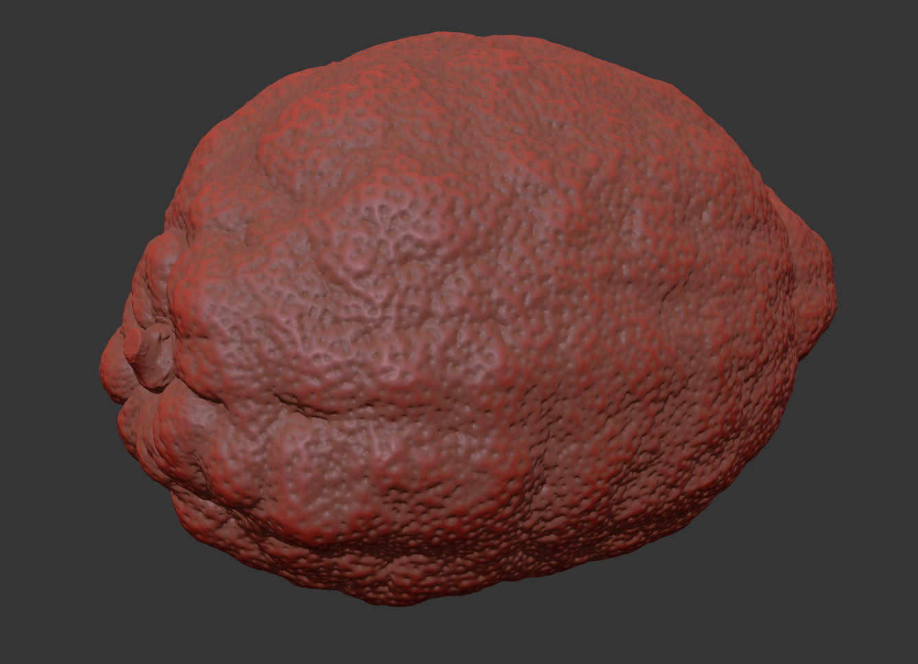 Lemon 3D model_7