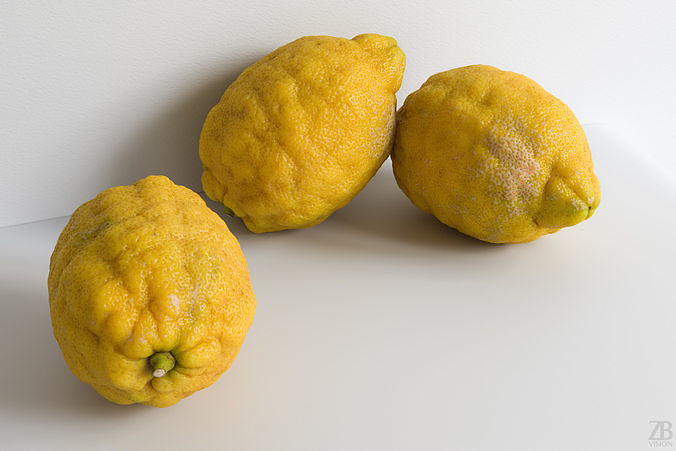 Lemon 3D model