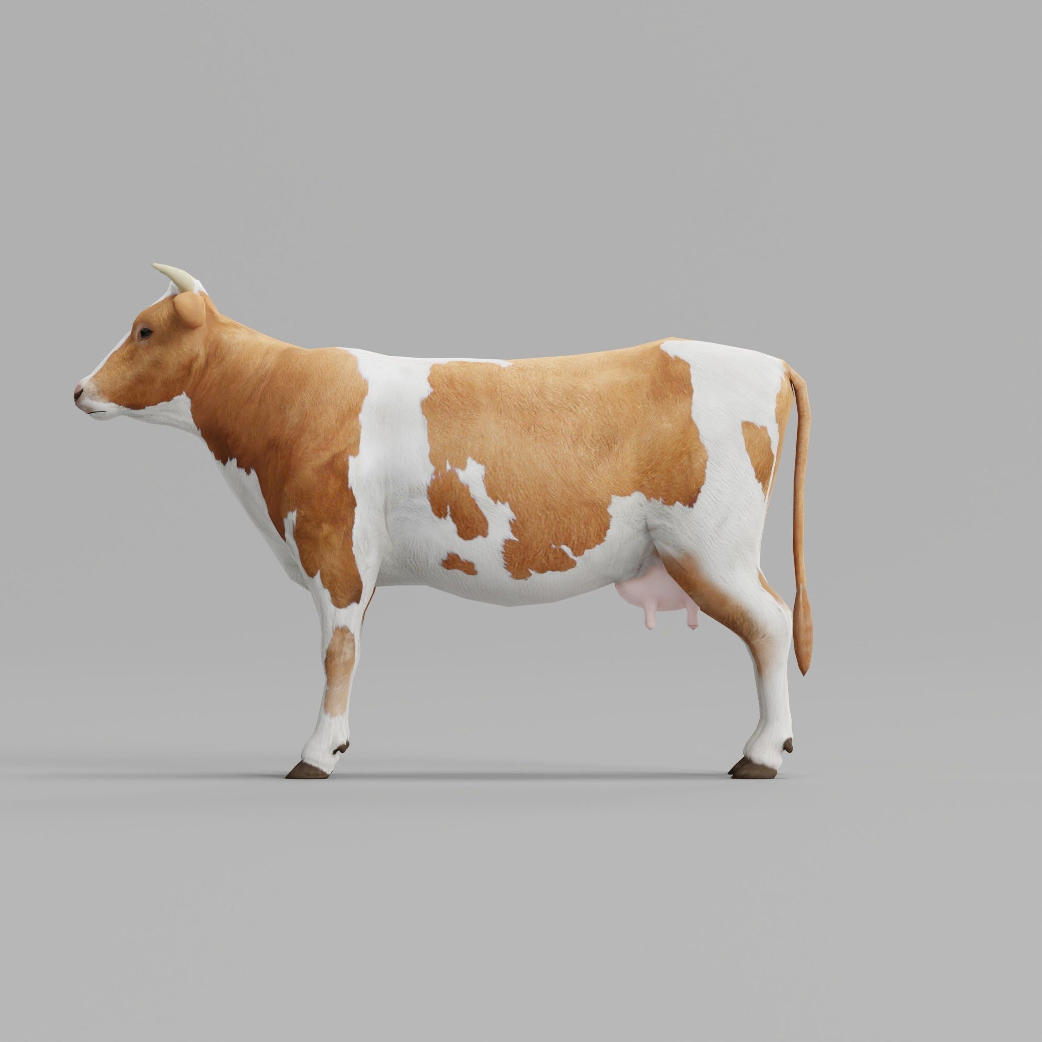 Diary Milk Cow  Animal Low-poly 3D model_2