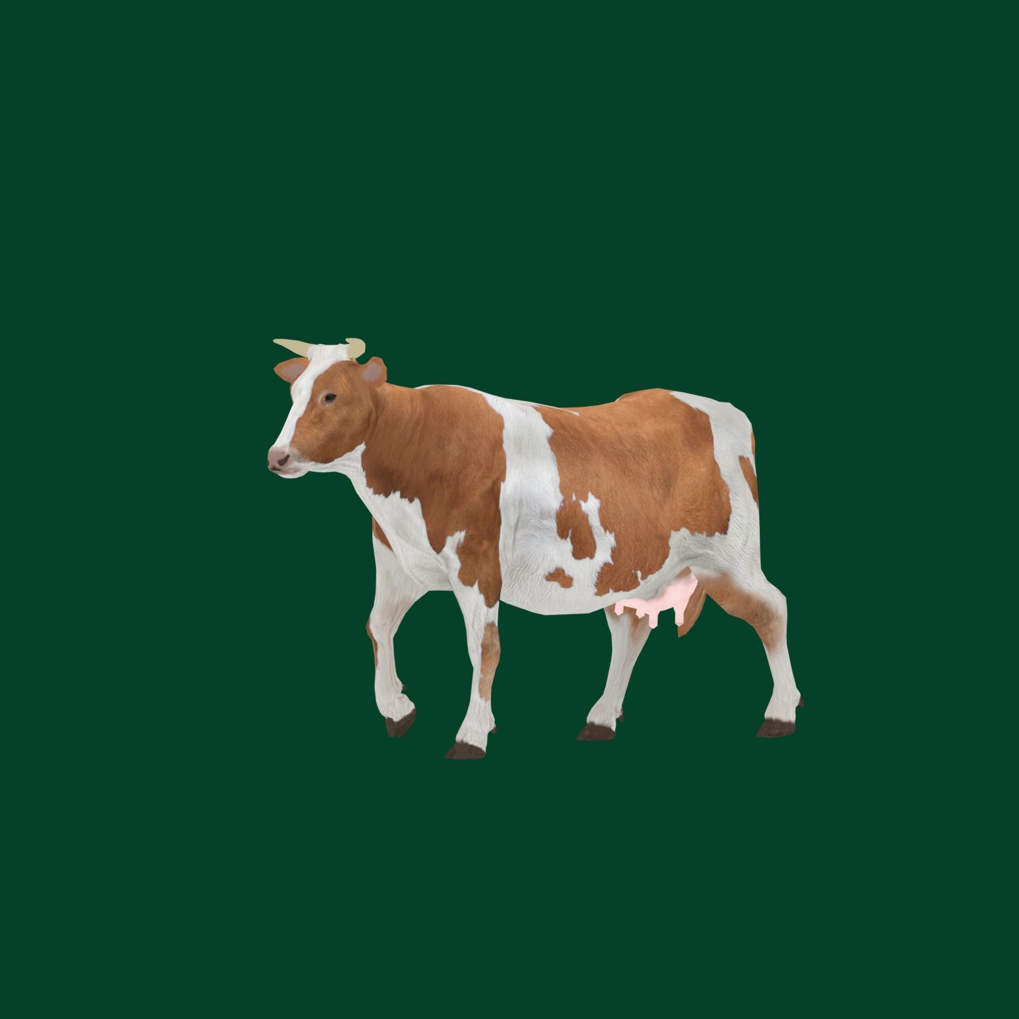 Diary Milk Cow  Animal Low-poly 3D model_20