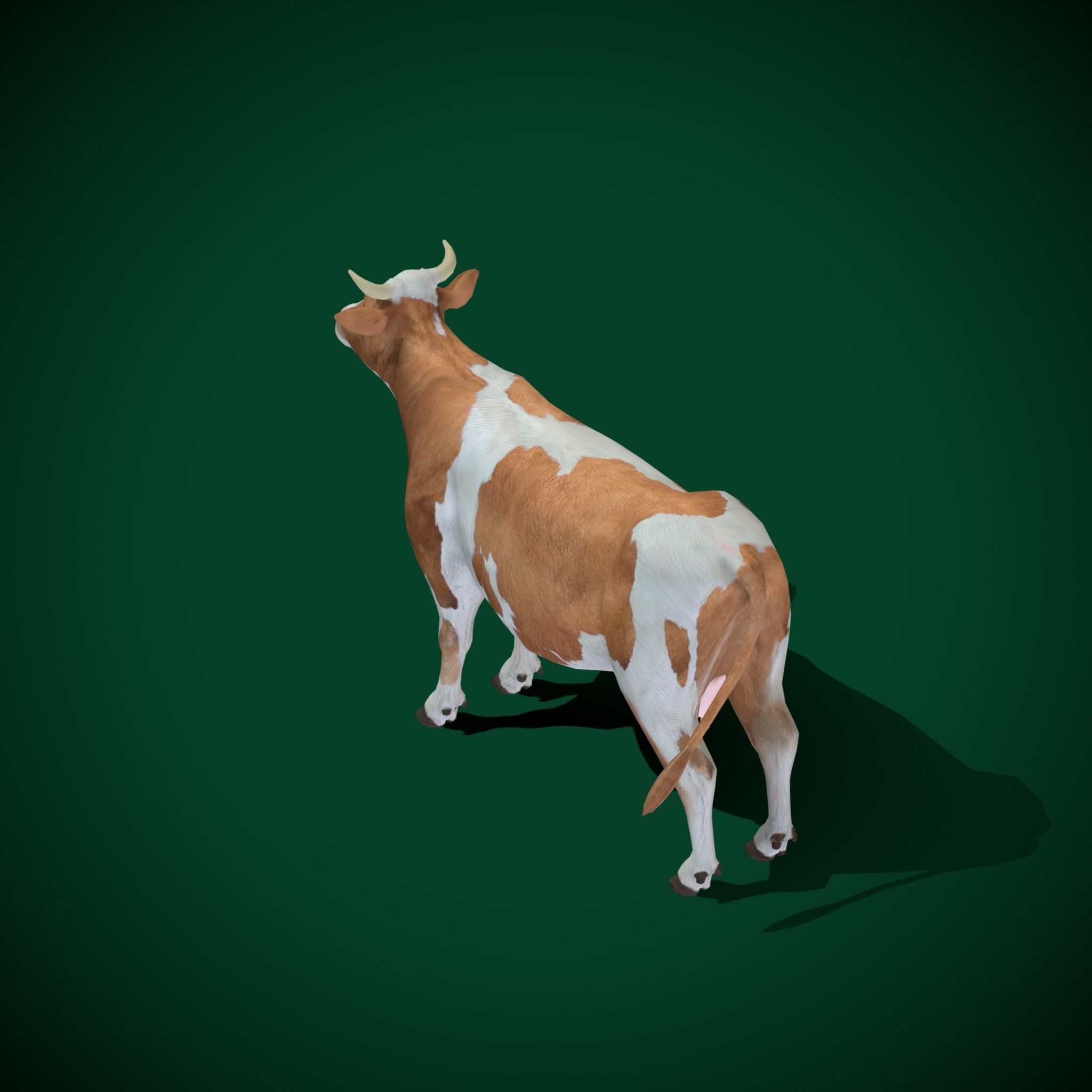 Diary Milk Cow  Animal Low-poly 3D model_7
