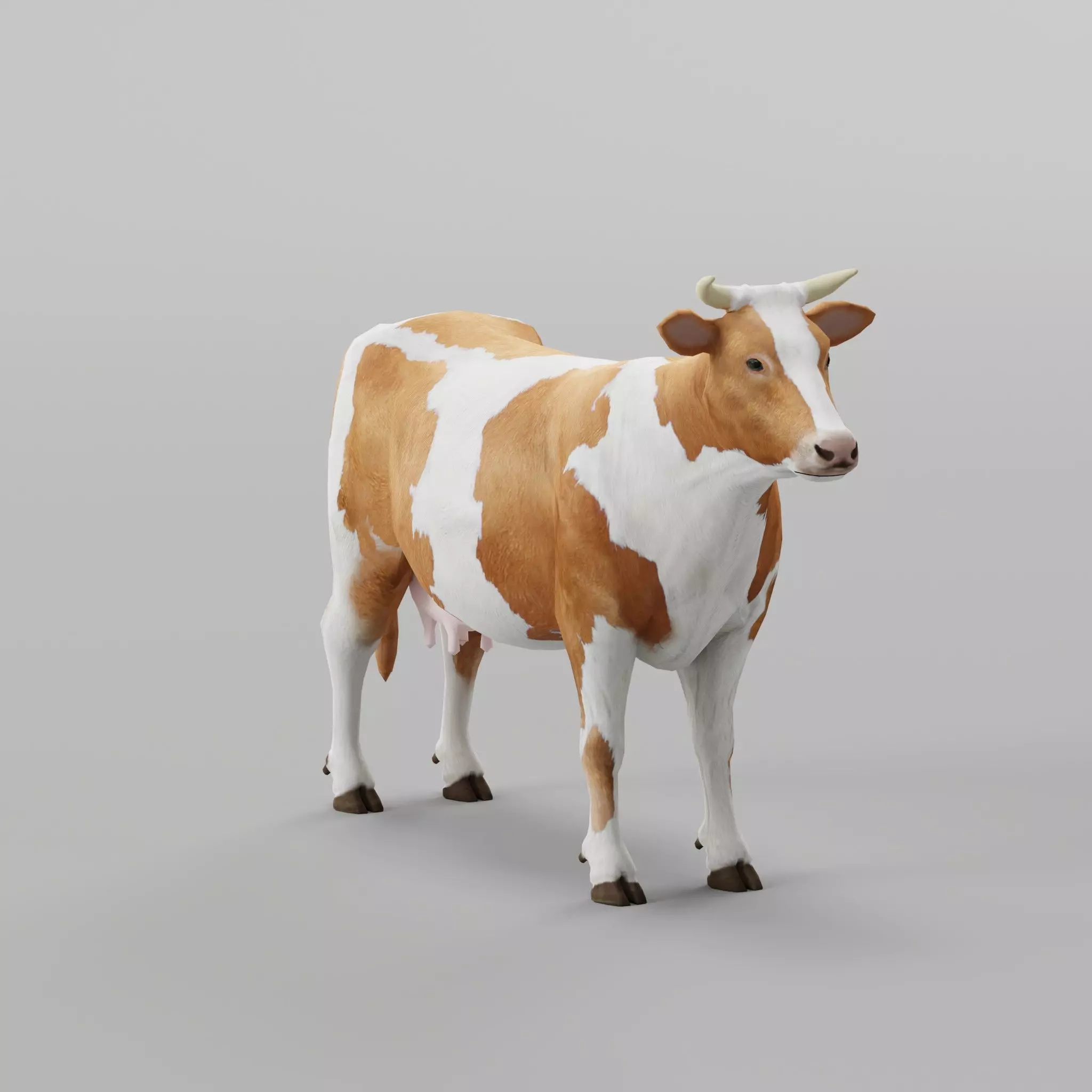 Diary Milk Cow  Animal Low-poly 3D model_0