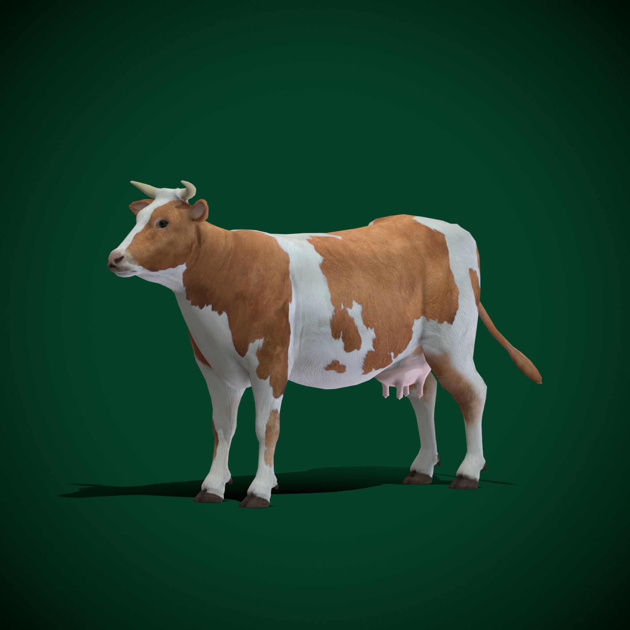 Diary Milk Cow  Animal Low-poly 3D model_29