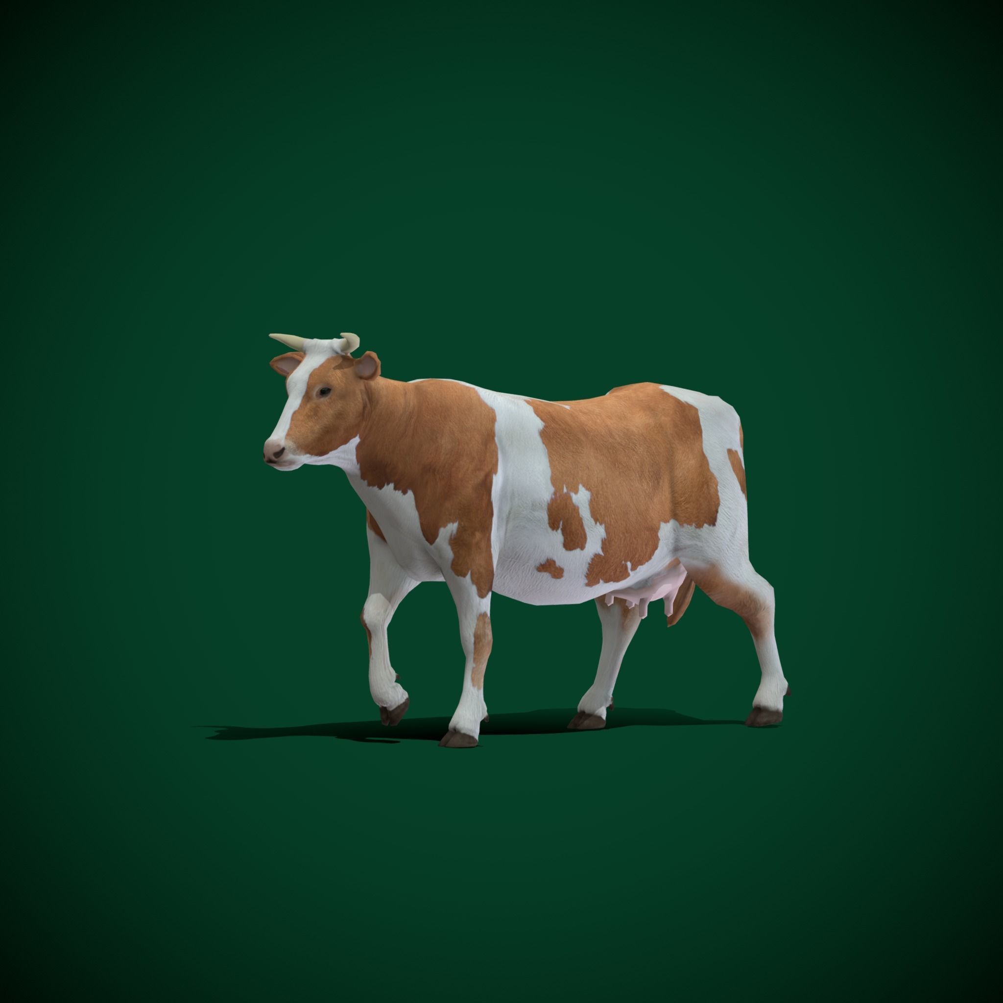 Diary Milk Cow  Animal Low-poly 3D model_19