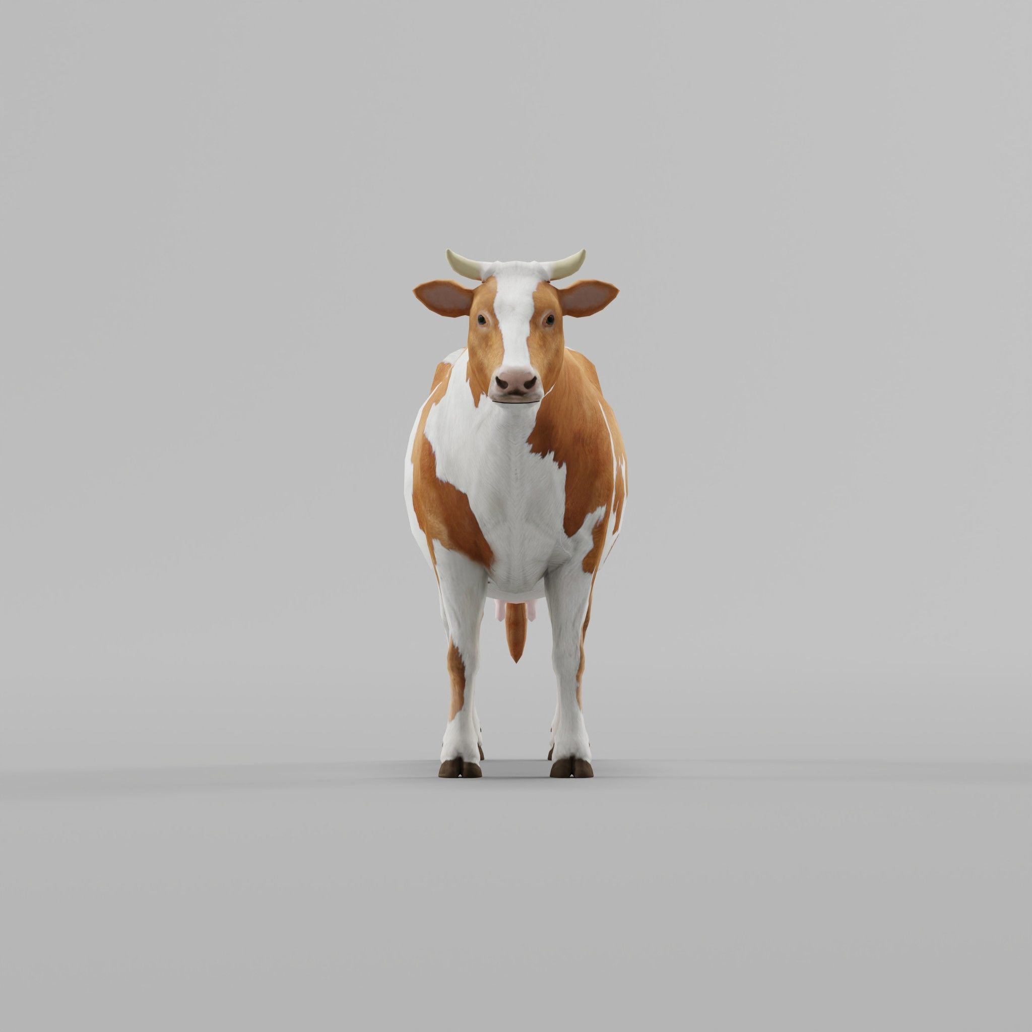 Diary Milk Cow  Animal Low-poly 3D model_3
