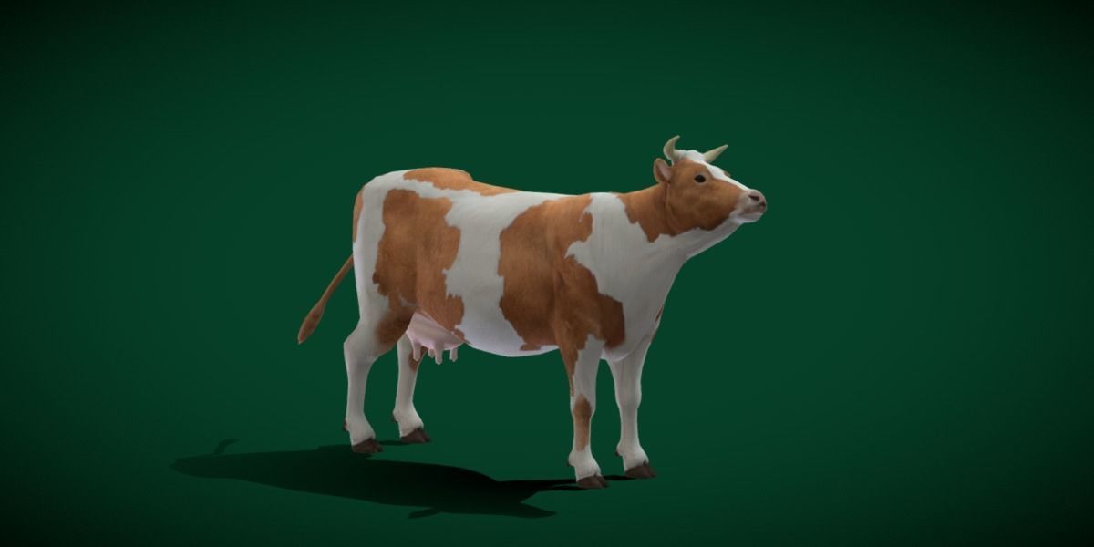 Diary Milk Cow  Animal Low-poly 3D model_22