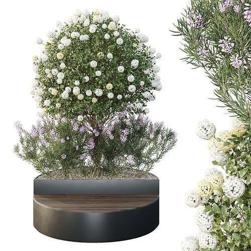 Tree and bush garden box outdoor VOL 20 Free 3D model