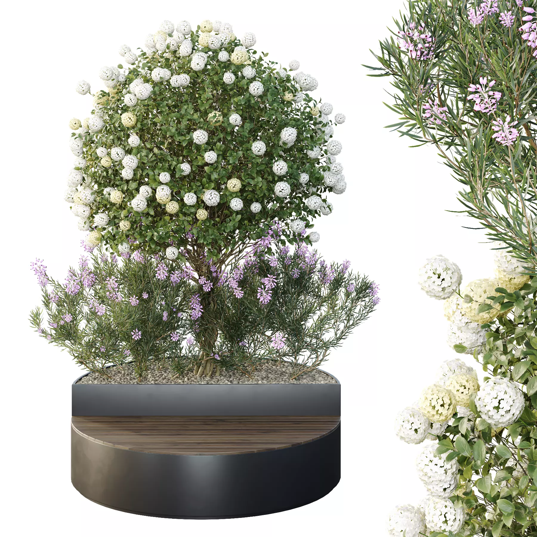 Tree and bush garden box outdoor VOL 20 Free 3D model
