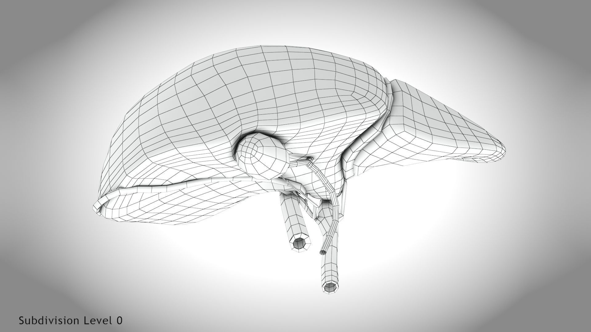 Healthy Liver Low-poly 3D model_18