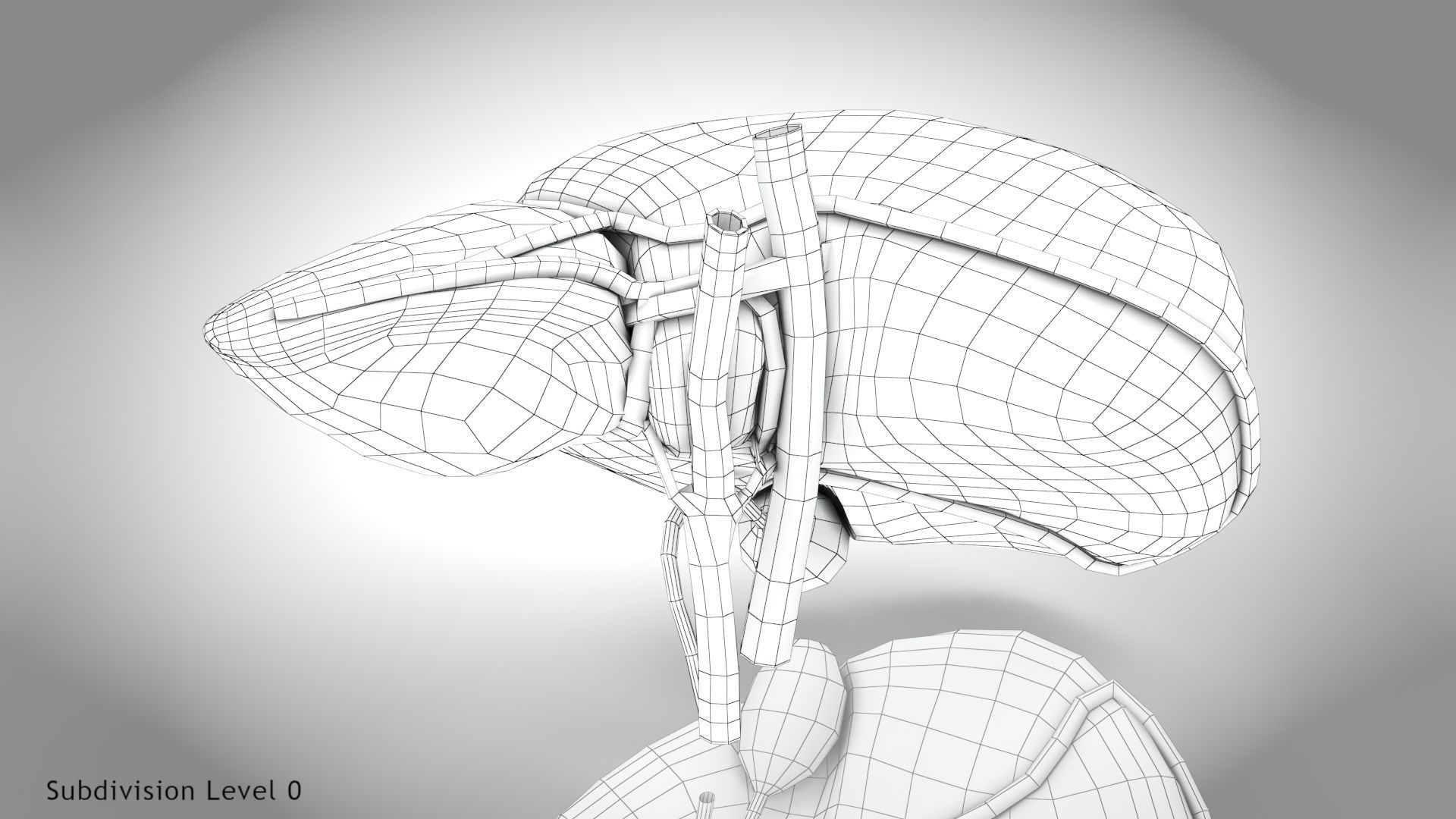 Healthy Liver Low-poly 3D model_23