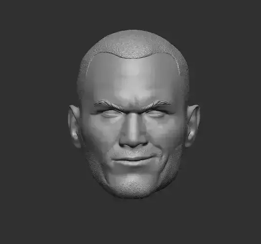 Randy Orton WWE Headsculpt for Action Figures  3D print model