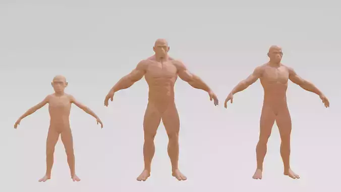 Male-Base Mesh Pack