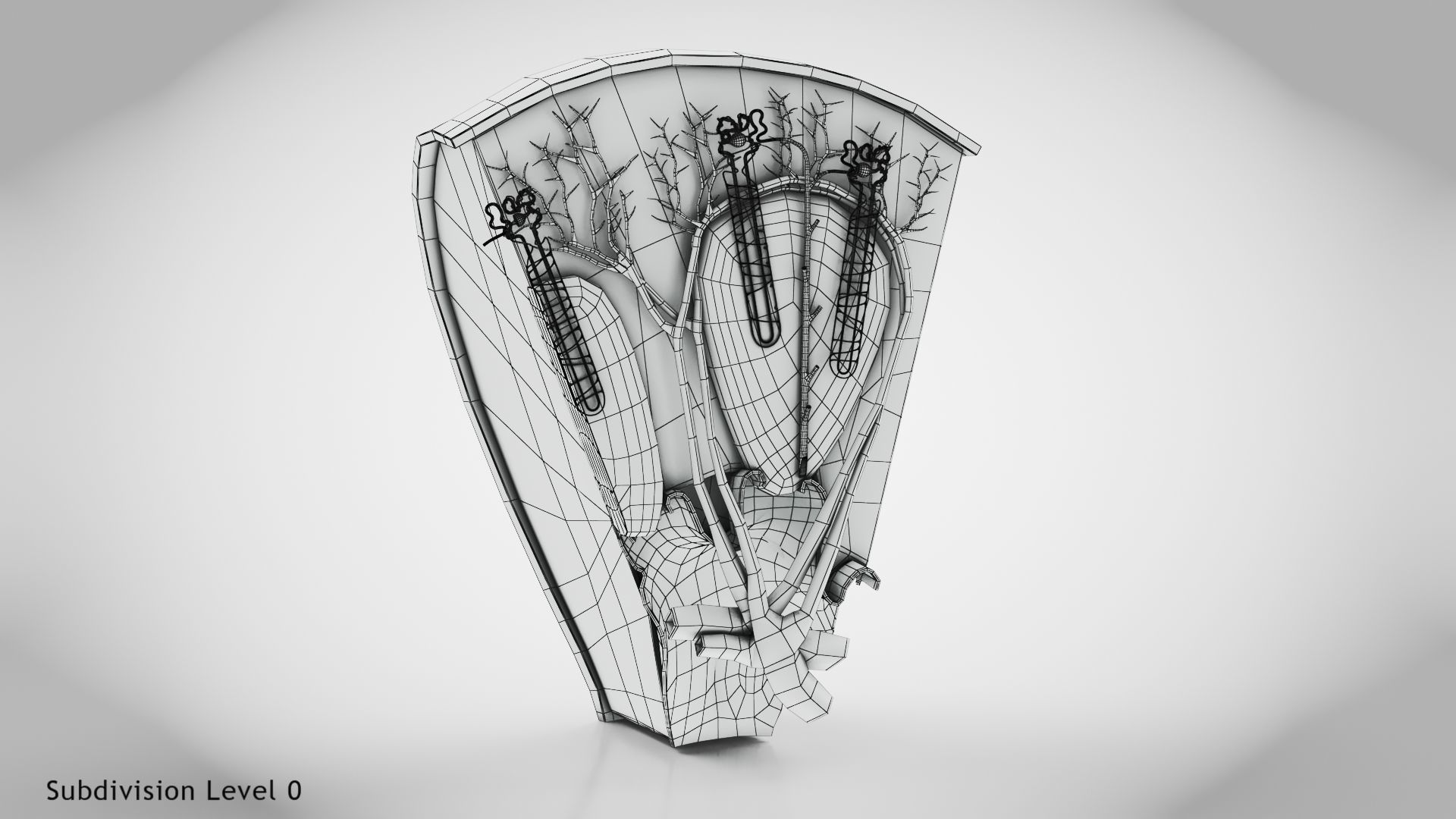 Kidney Section with Nephrons Low-poly 3D model_8