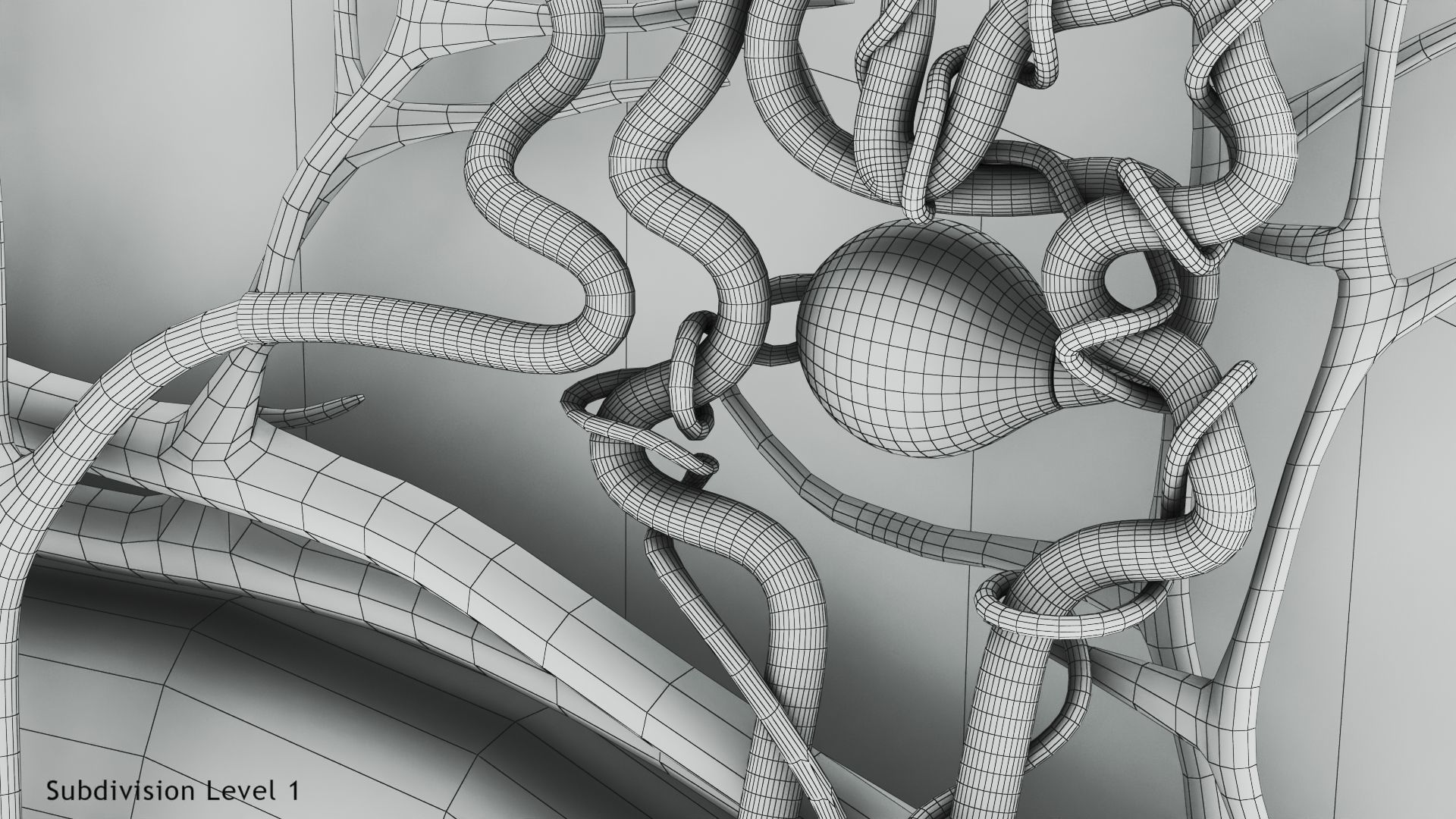 Kidney Section with Nephrons Low-poly 3D model_24