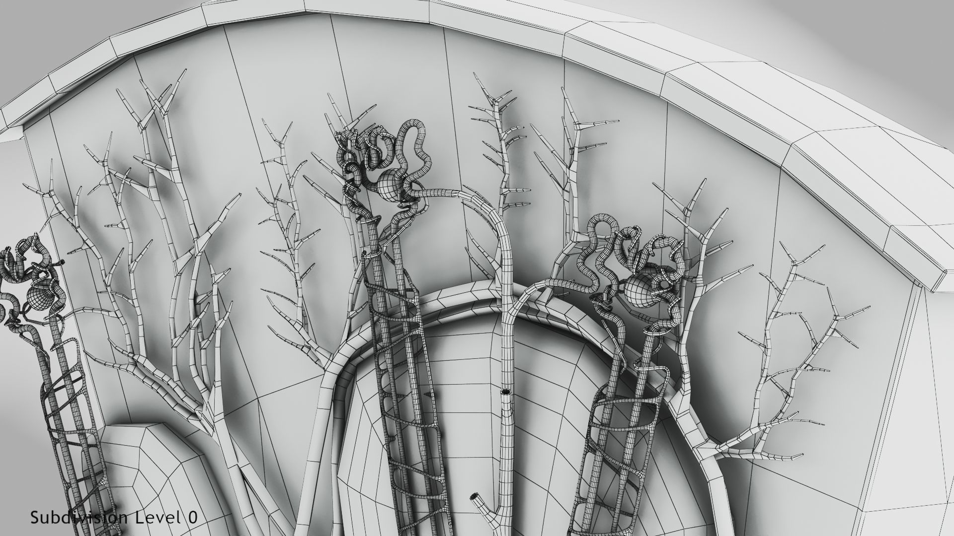 Kidney Section with Nephrons Low-poly 3D model_17