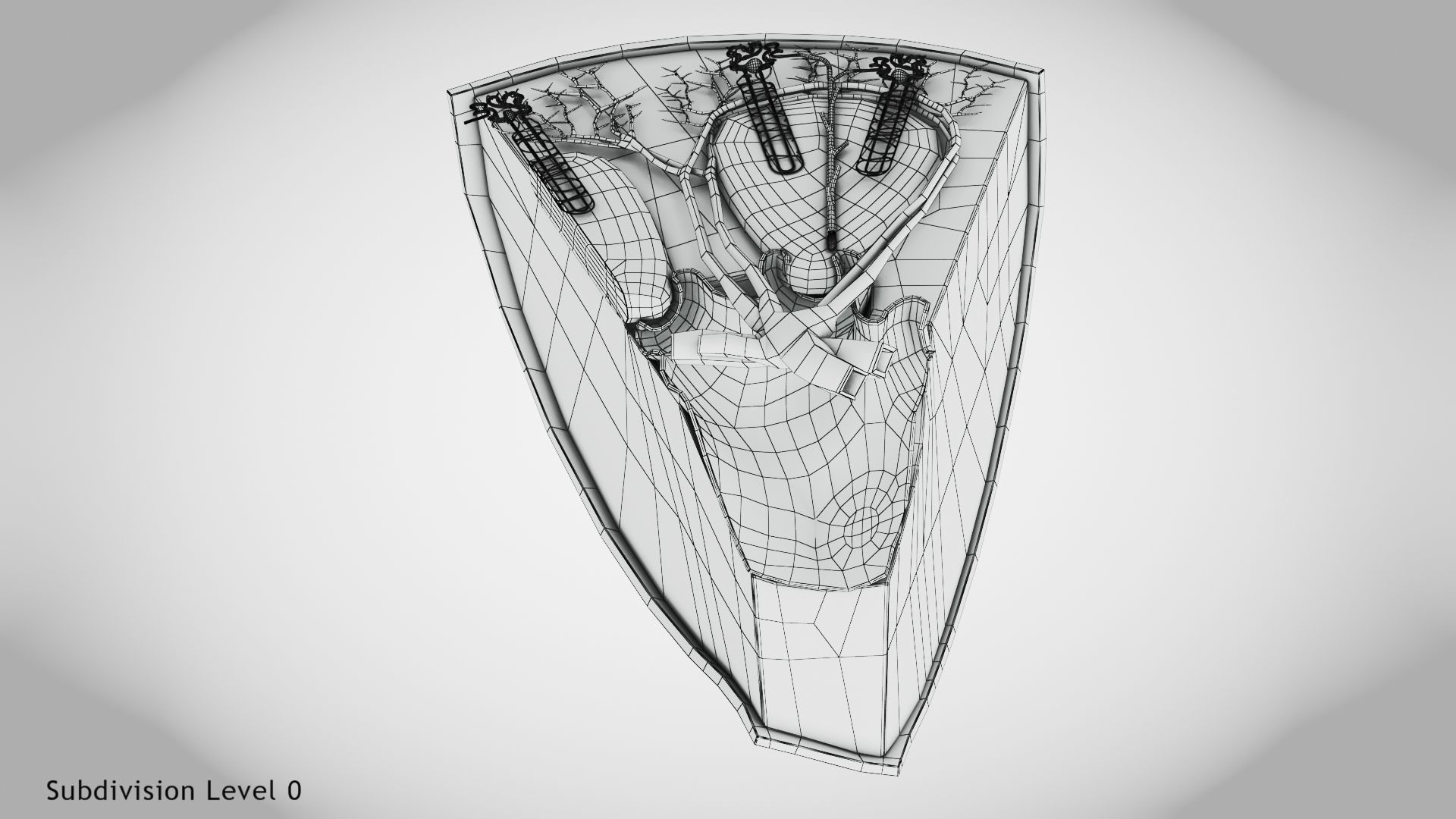 Kidney Section with Nephrons Low-poly 3D model_9
