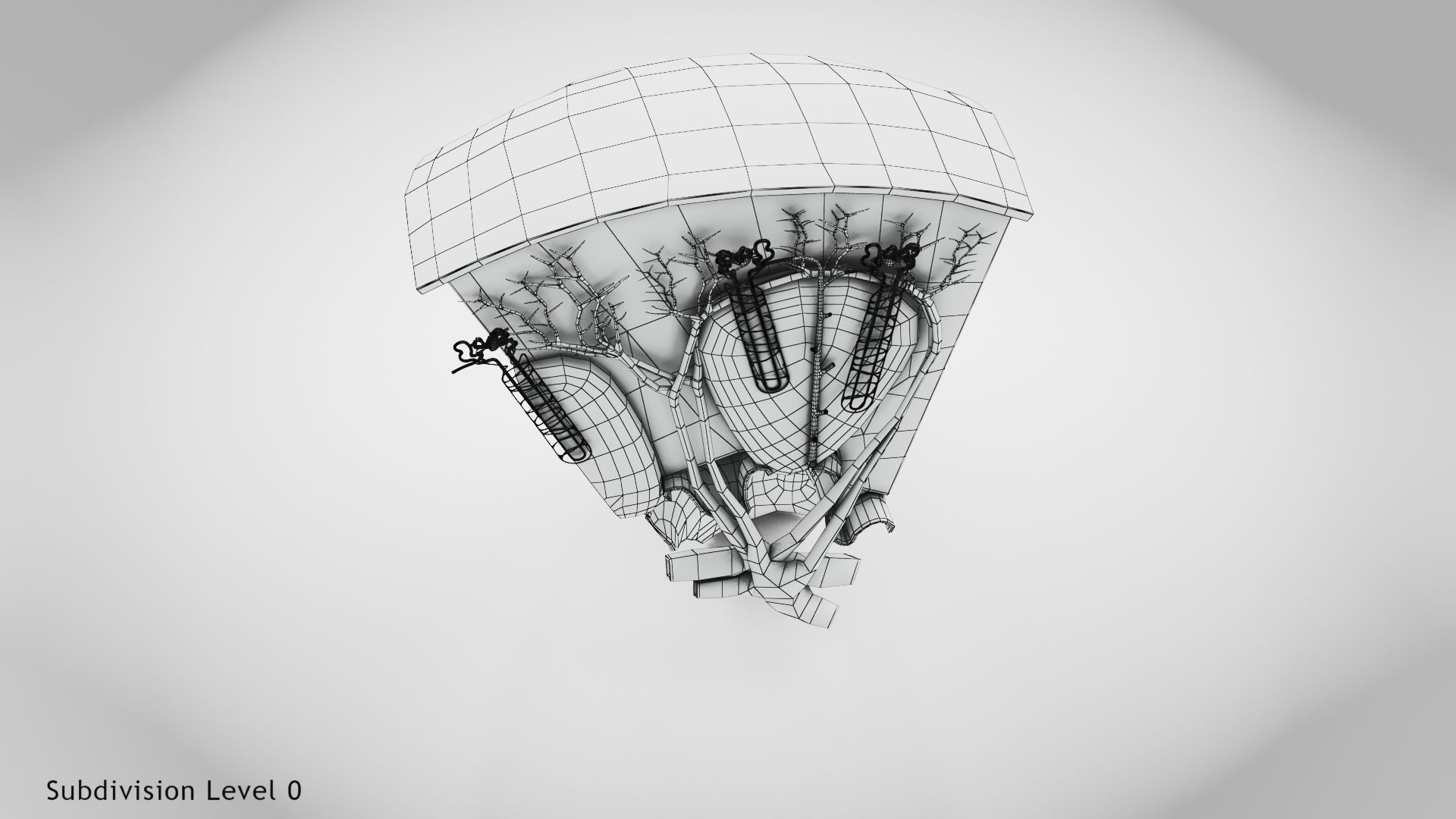 Kidney Section with Nephrons Low-poly 3D model_16