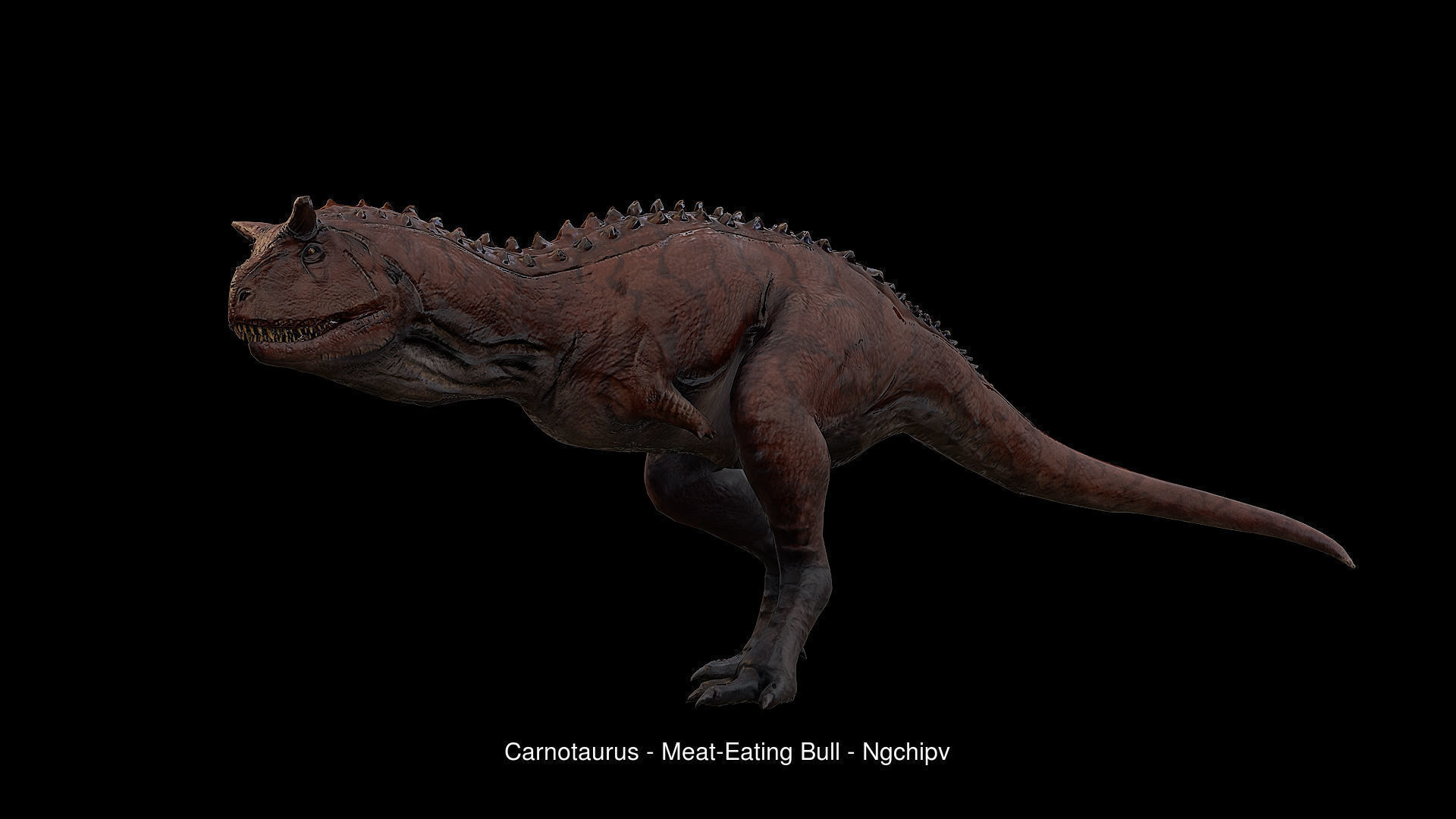 Dinosaur Collection 1 _15