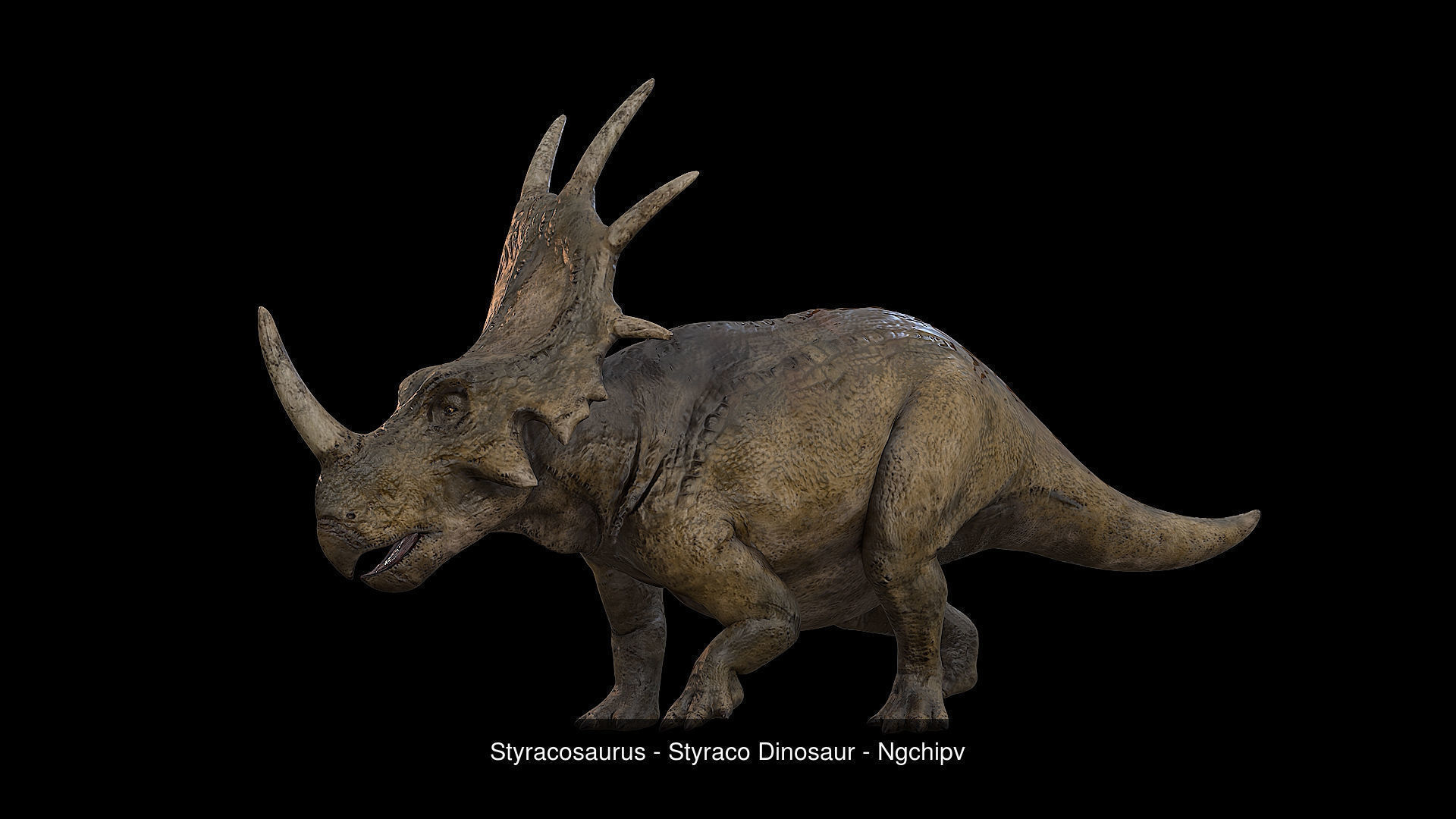 Dinosaur Collection 1 _11